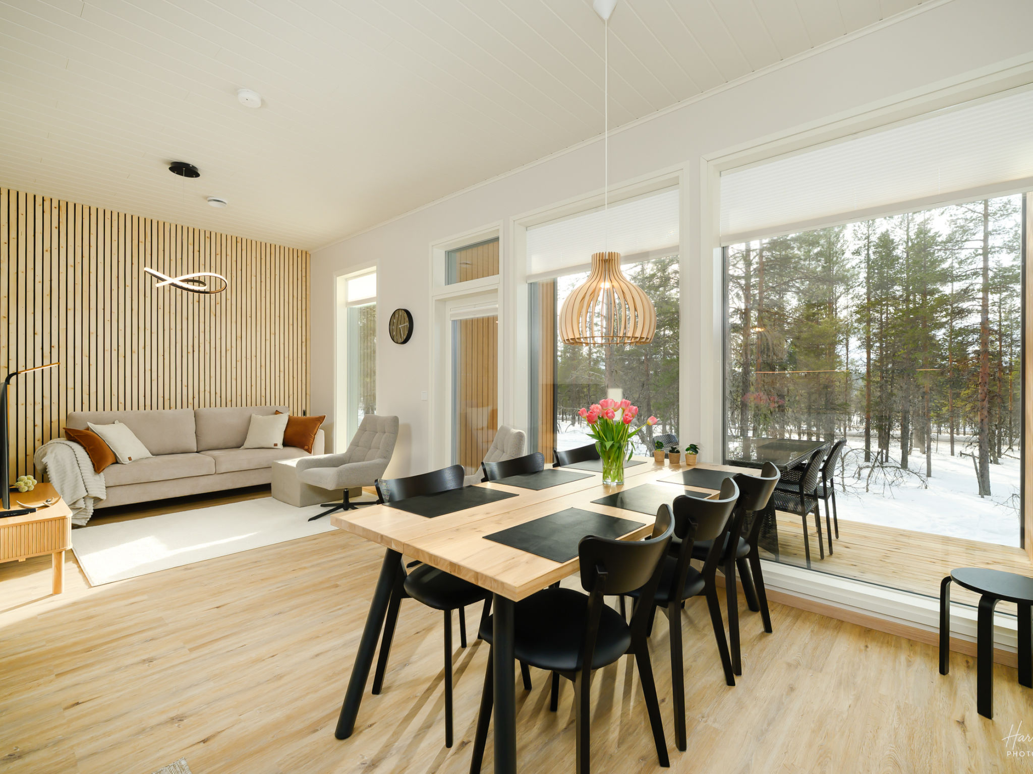 Photo of Saariselän aavahelmi a