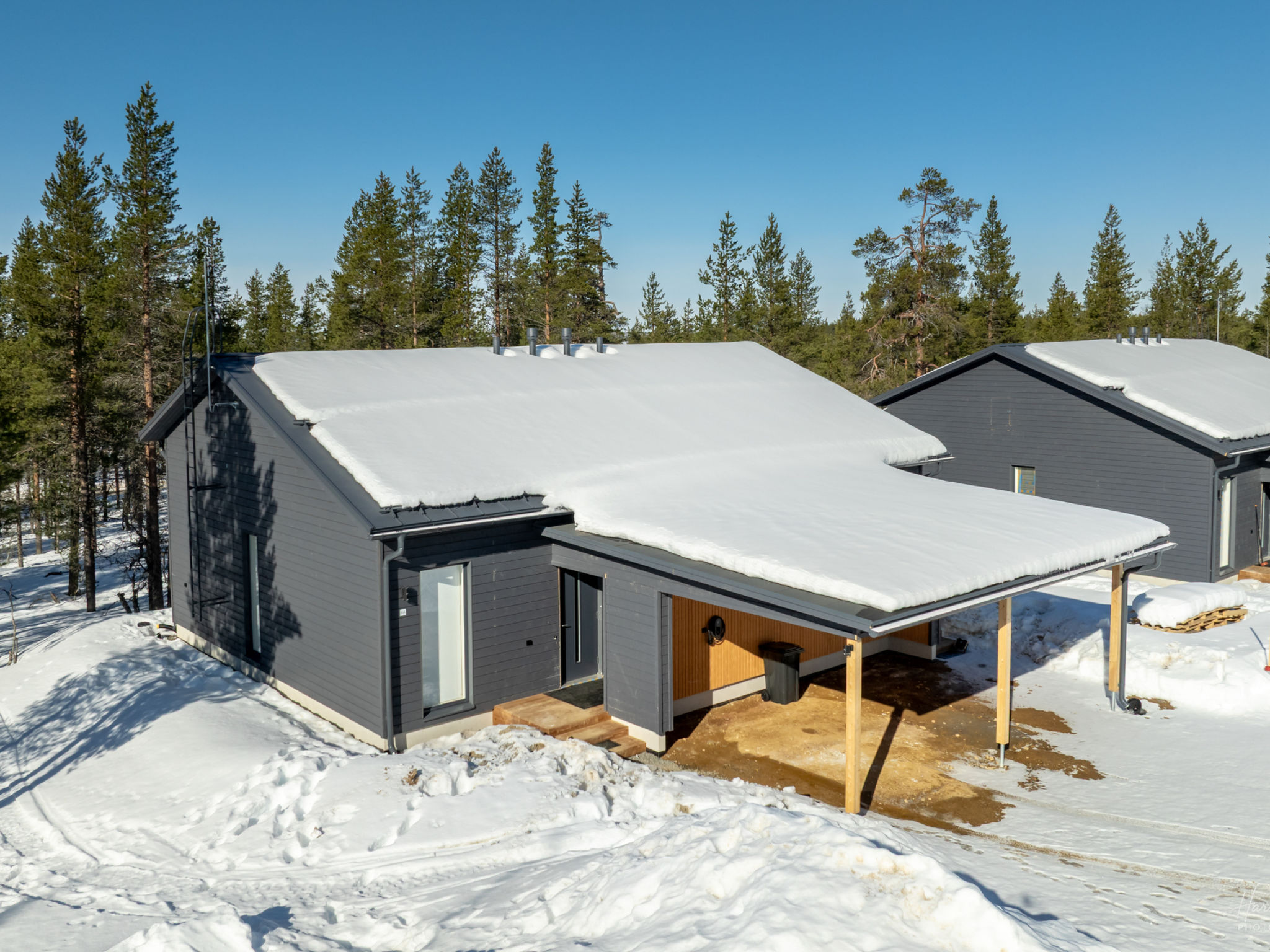 Saariselän aavahelmi a