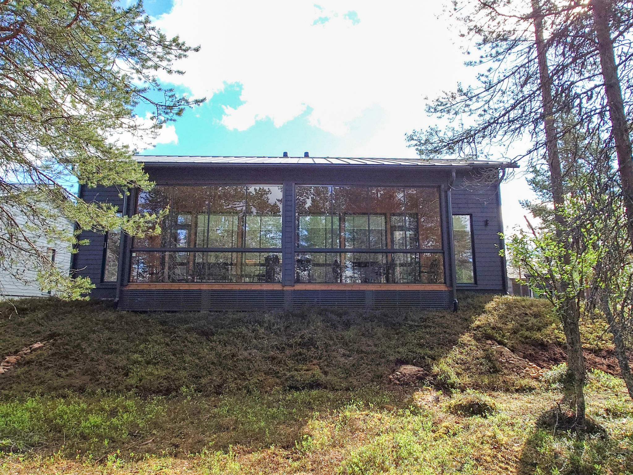 Saariselän aavahelmi a