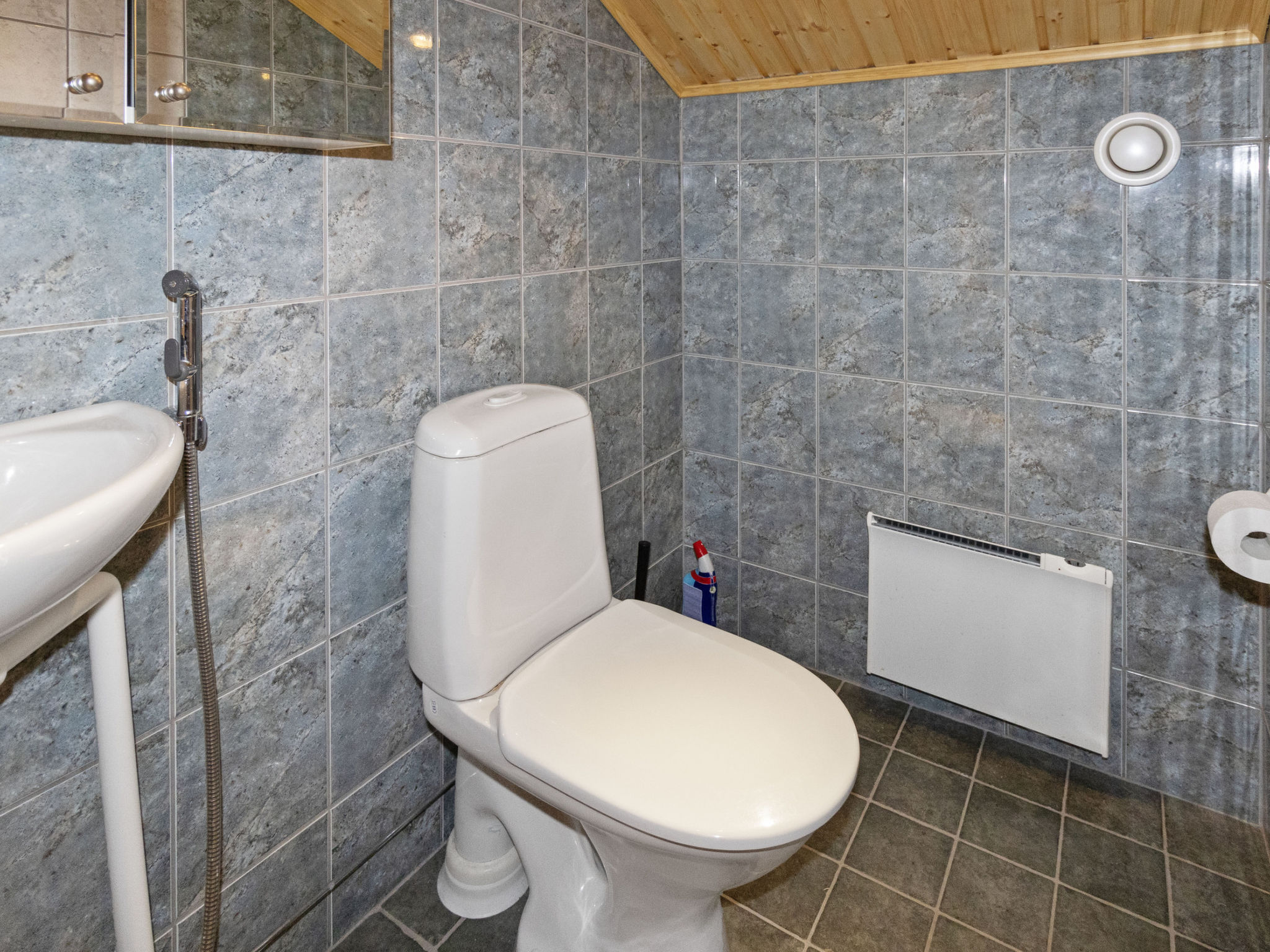 Kevätruska a-Binnen