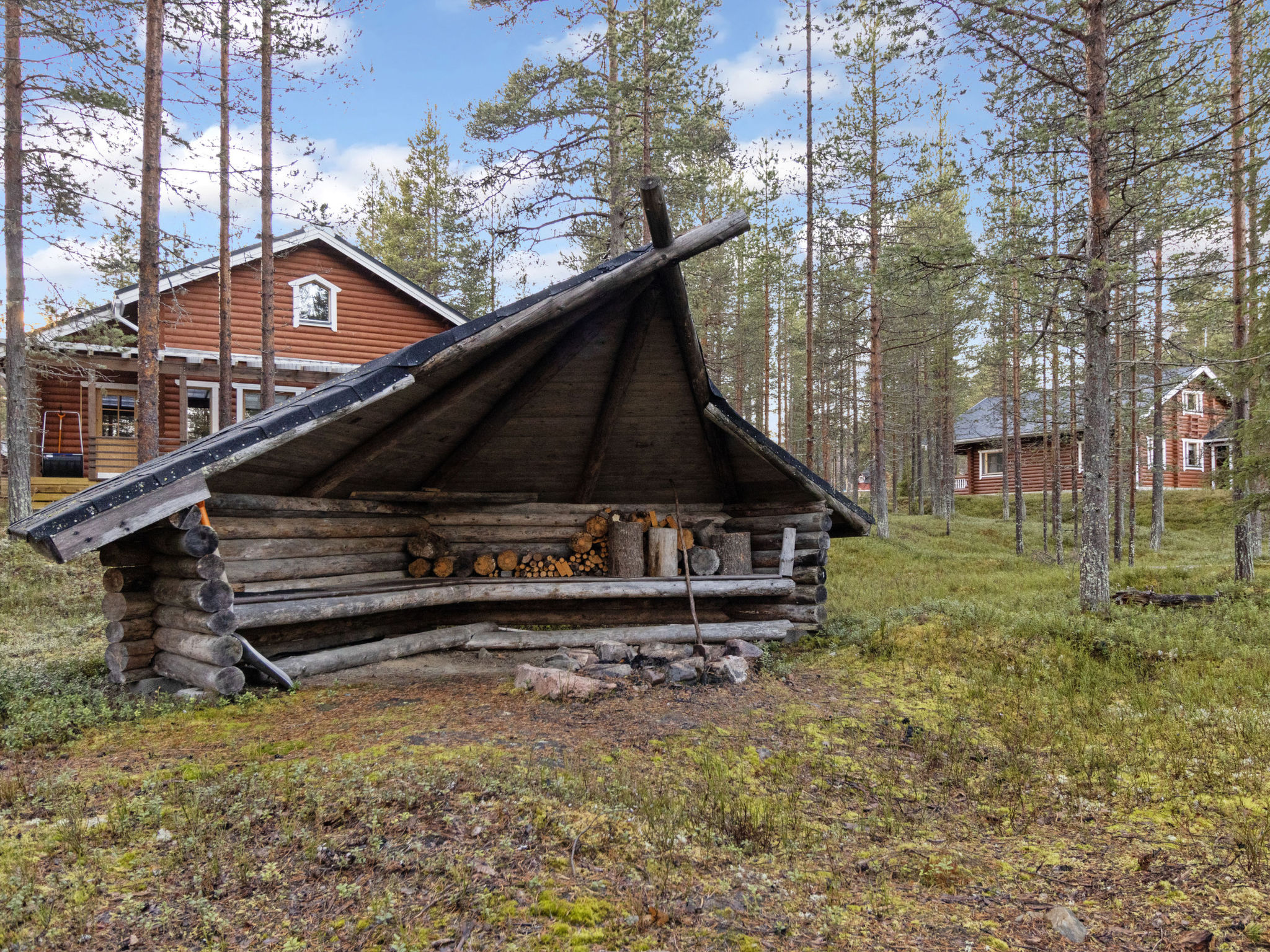Kevätruska a