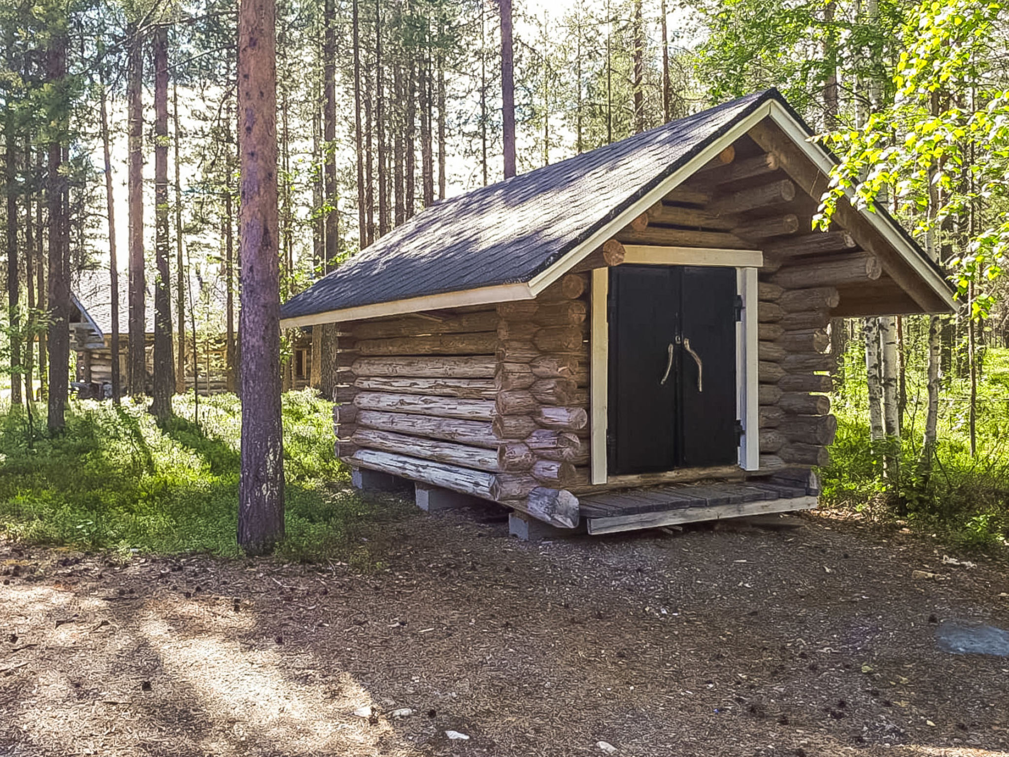 Levintähkä b