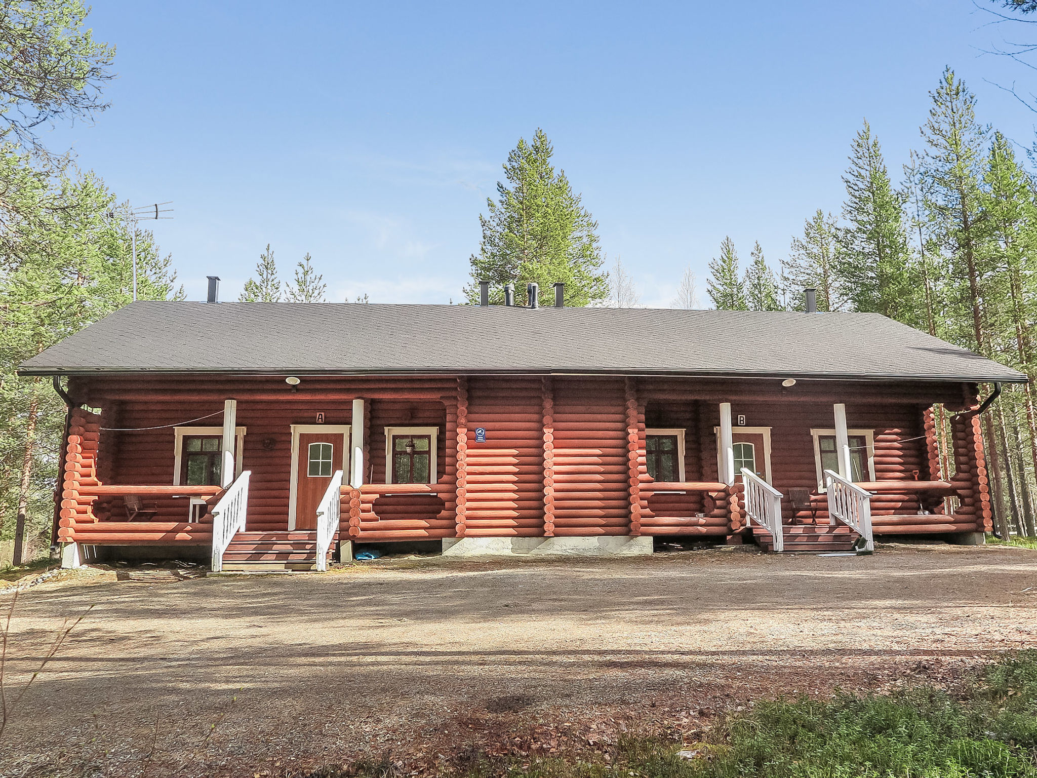 Levintähkä b