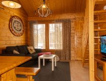 Maison Hirvas levi 3