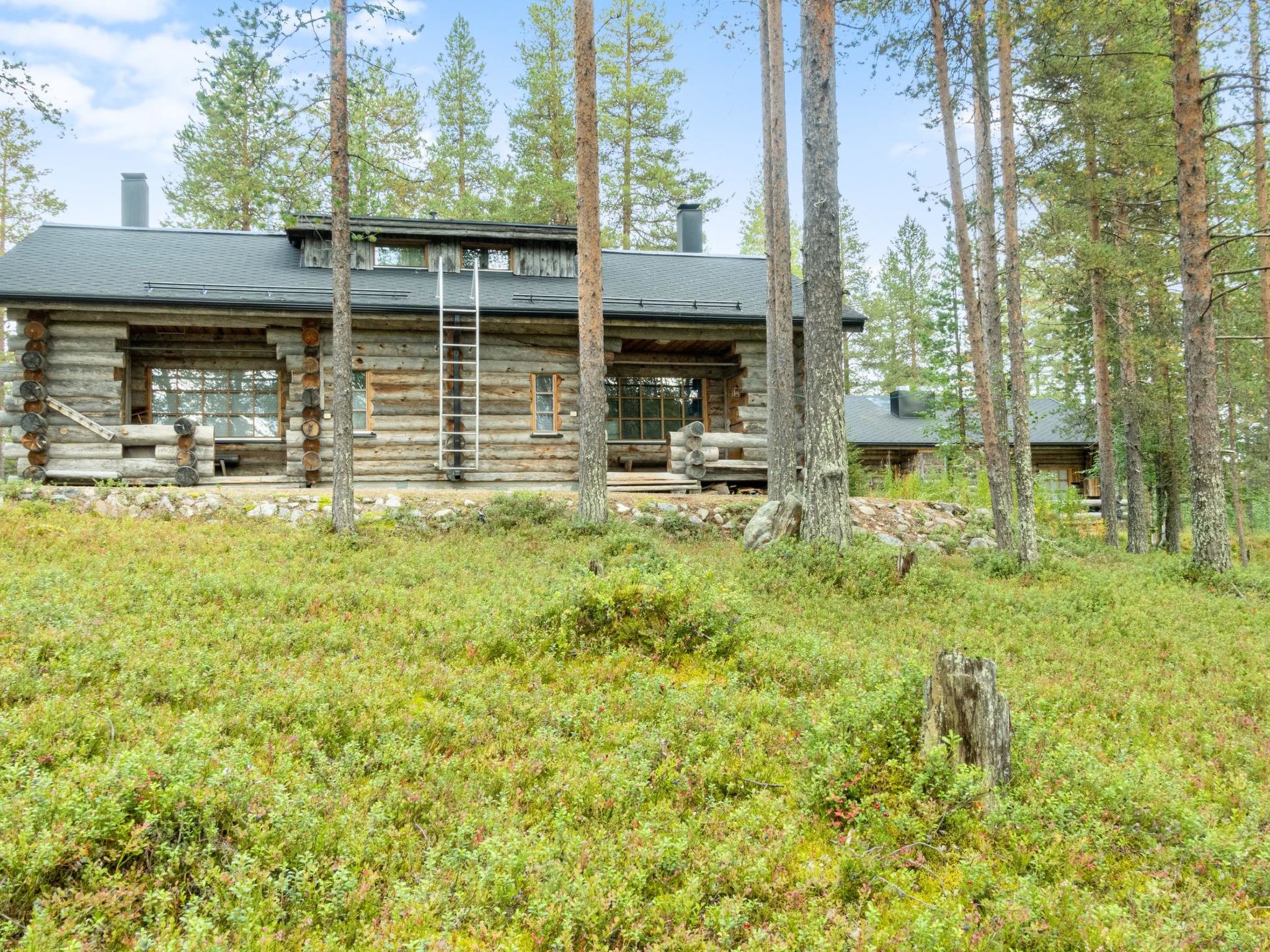 Kämmekkä b - Image 3