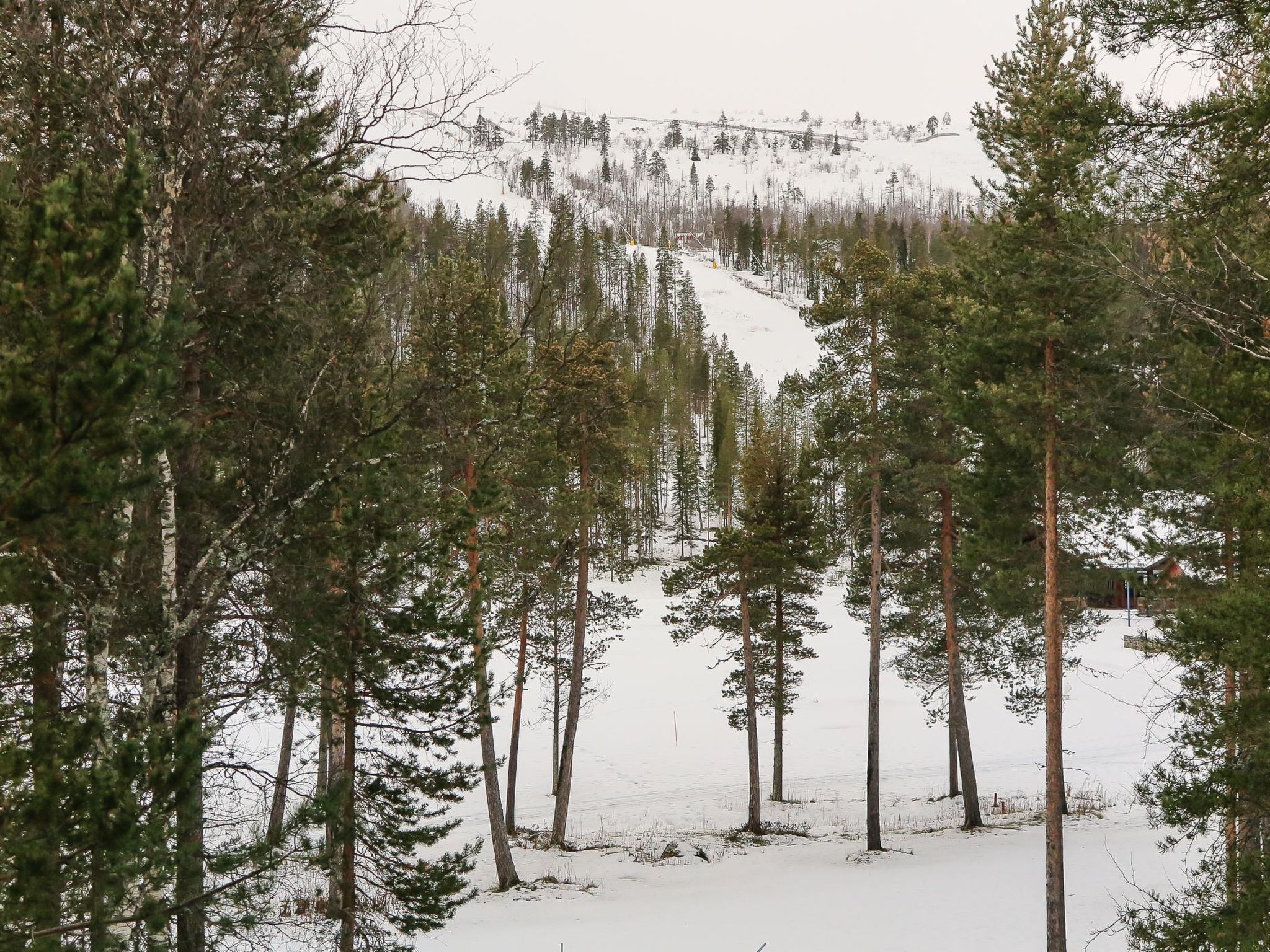 Hiihtogreeni a-Binnen