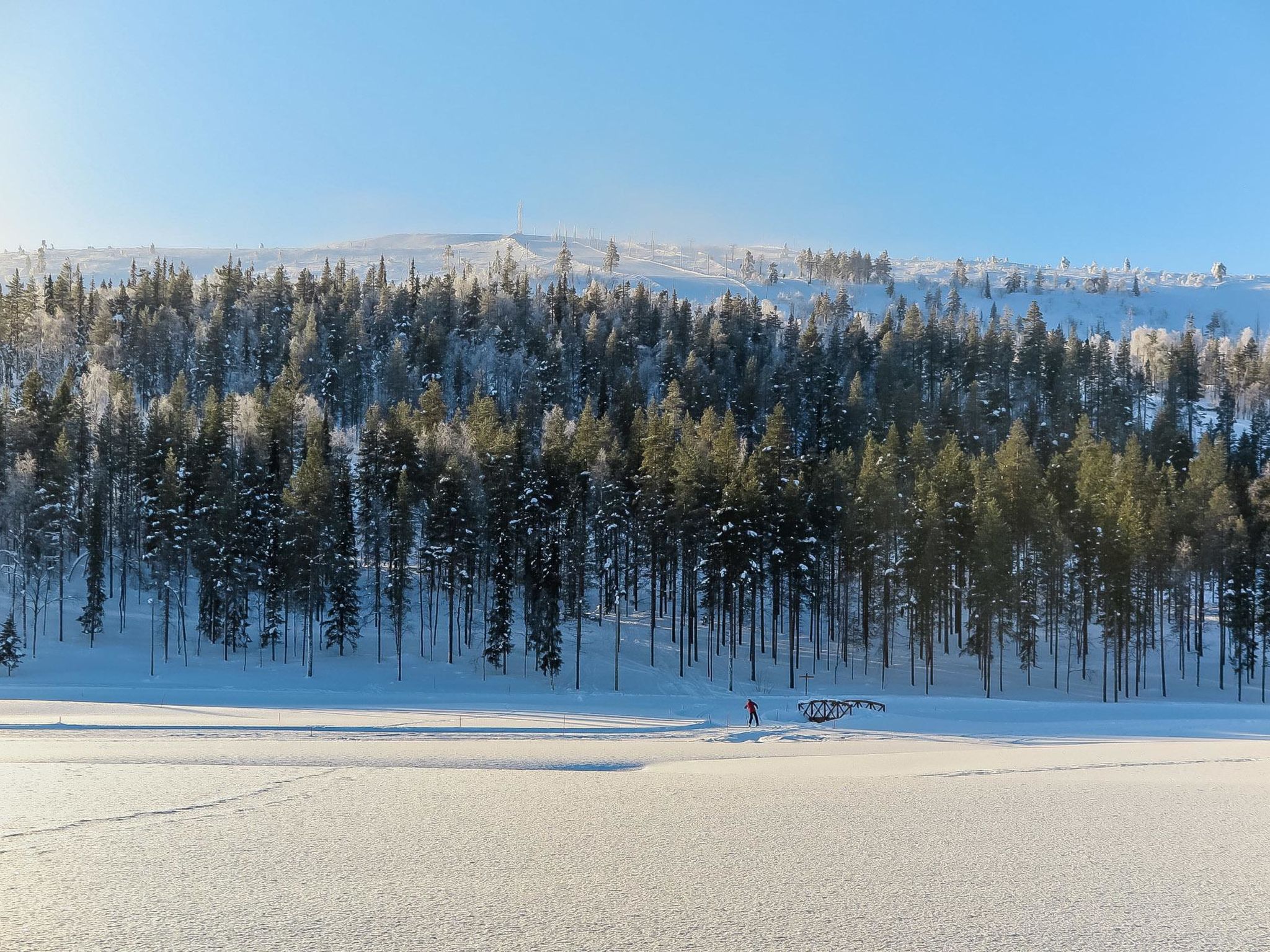 Hiihtogreeni a-Binnen