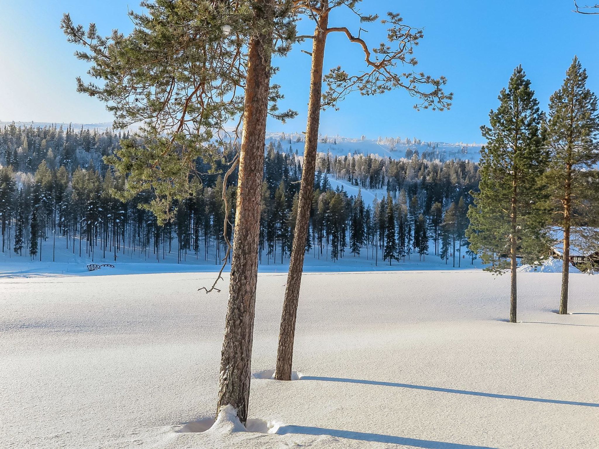 Hiihtogreeni a-Binnen
