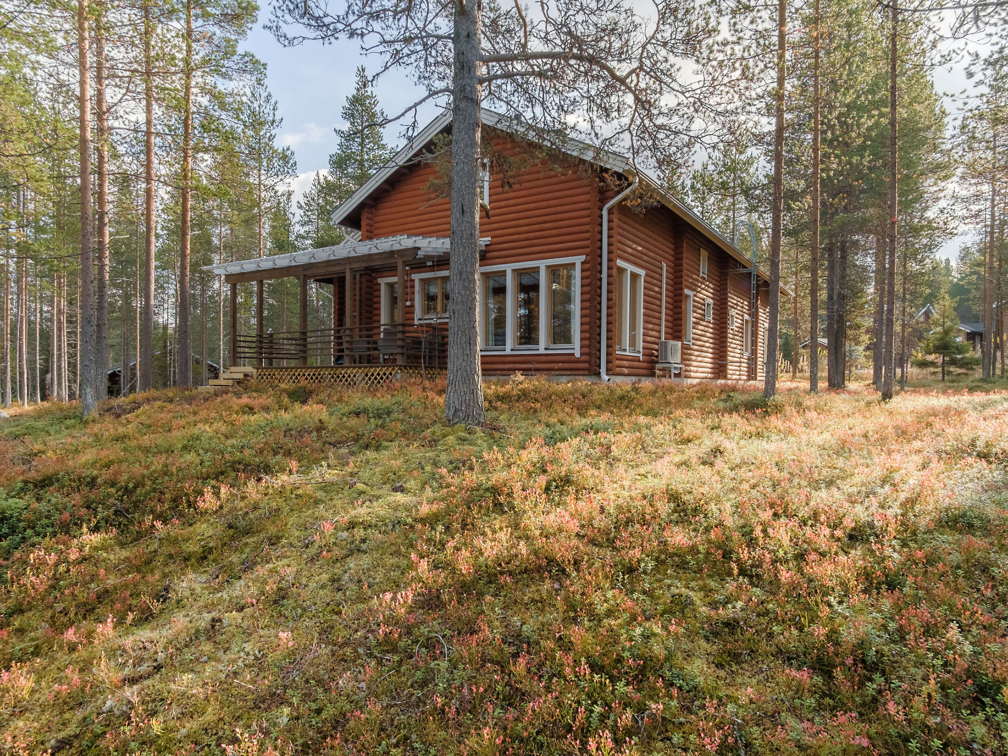 Kevätruska b - Dedans