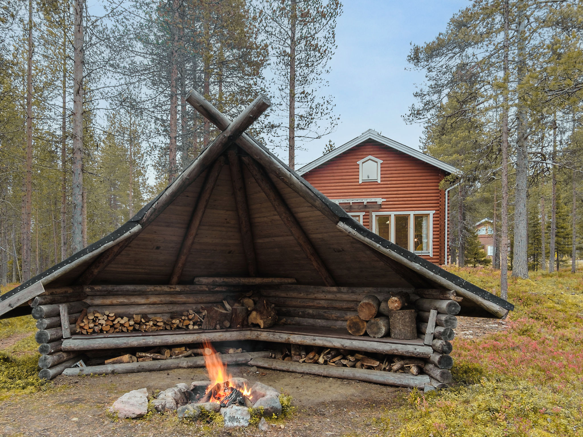 Kevätruska b - Dedans