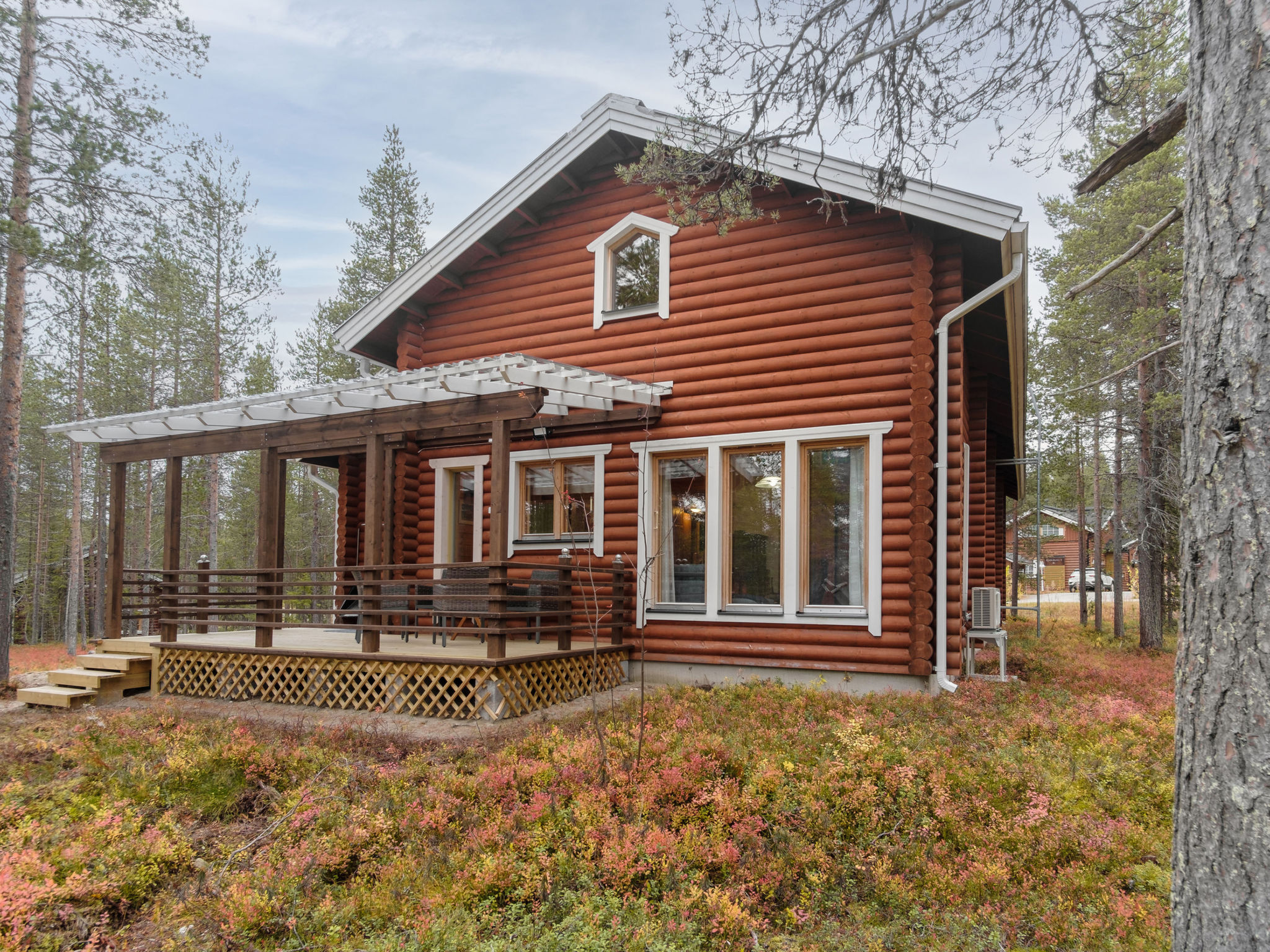 Kevätruska b - Dedans