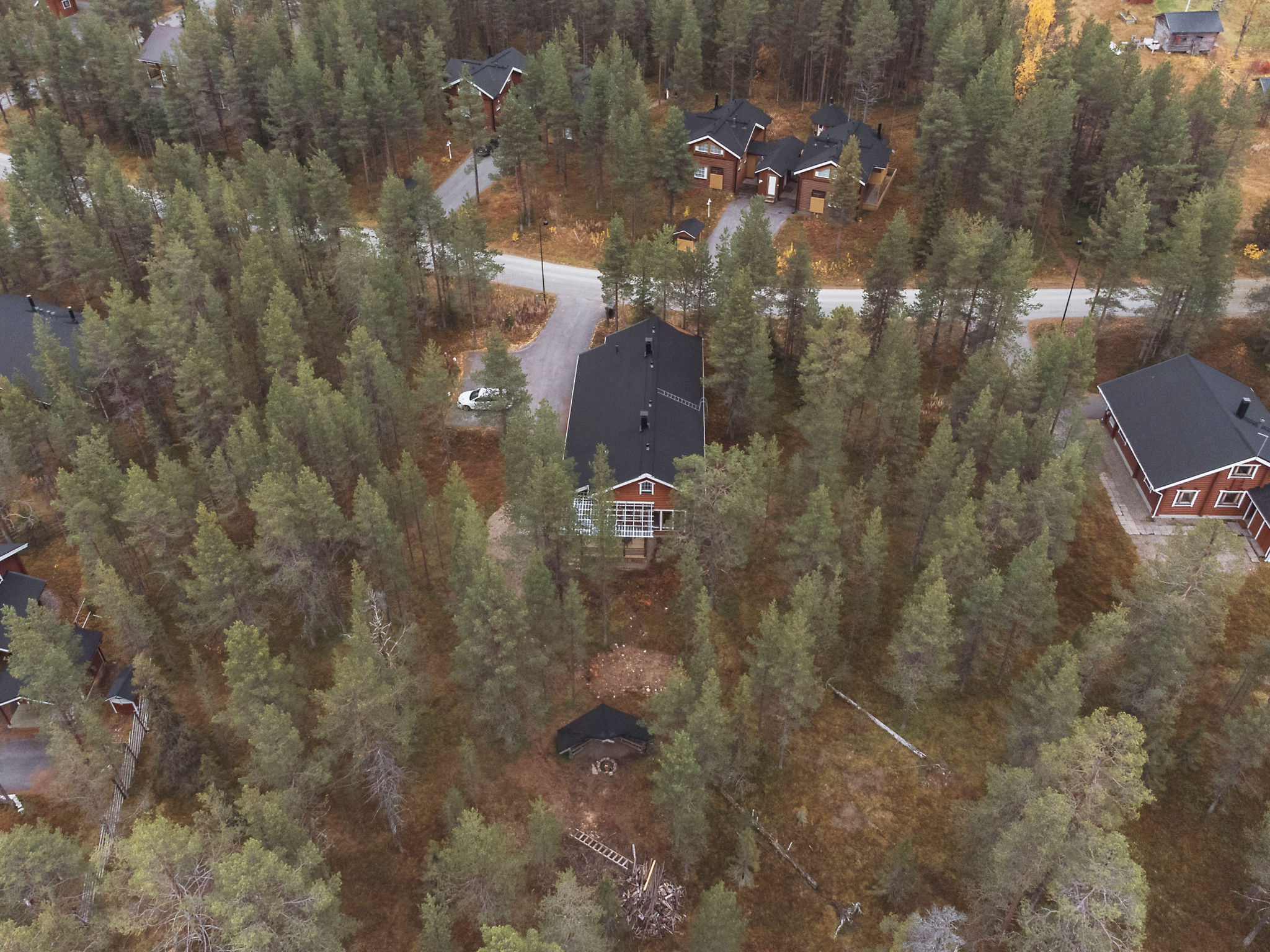 Kevätruska b