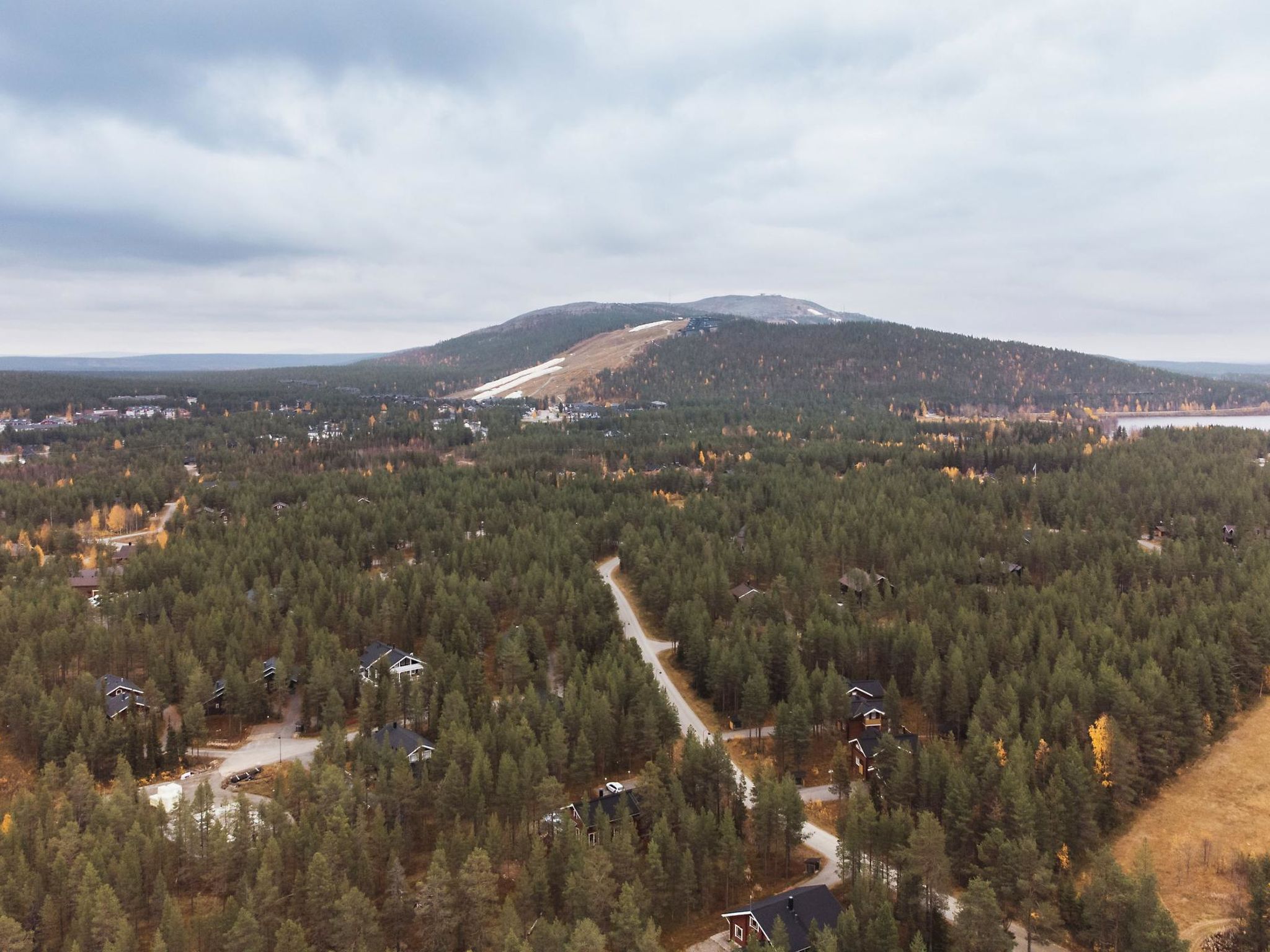 Kevätruska b-Outside