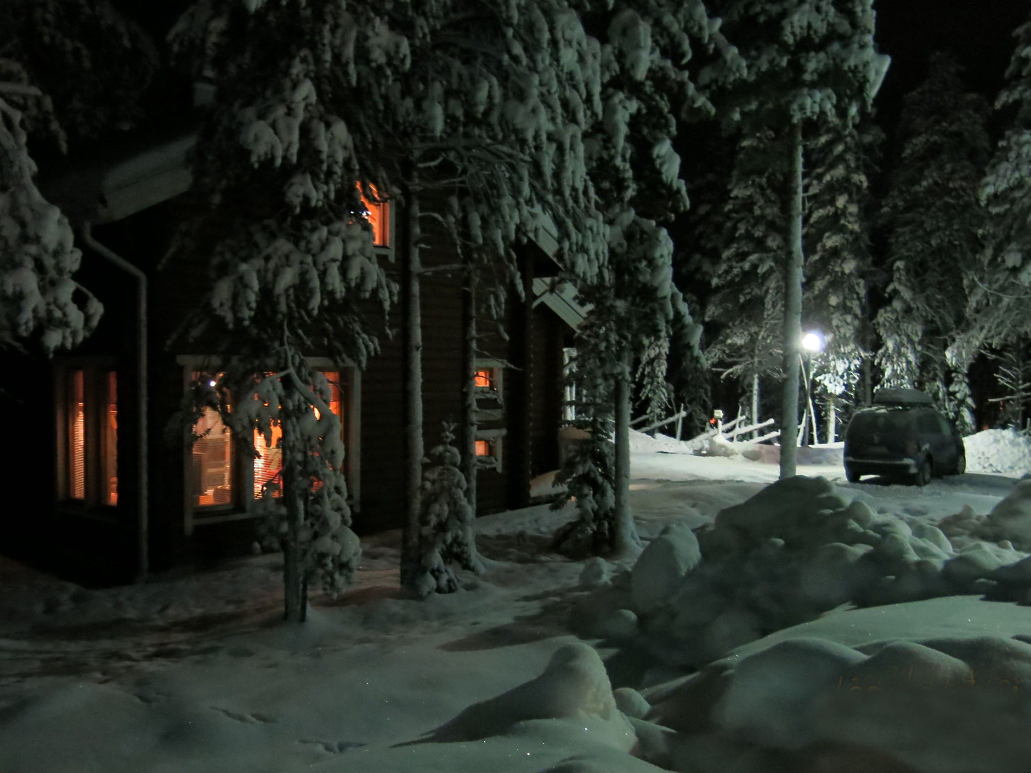 Kevätruska b