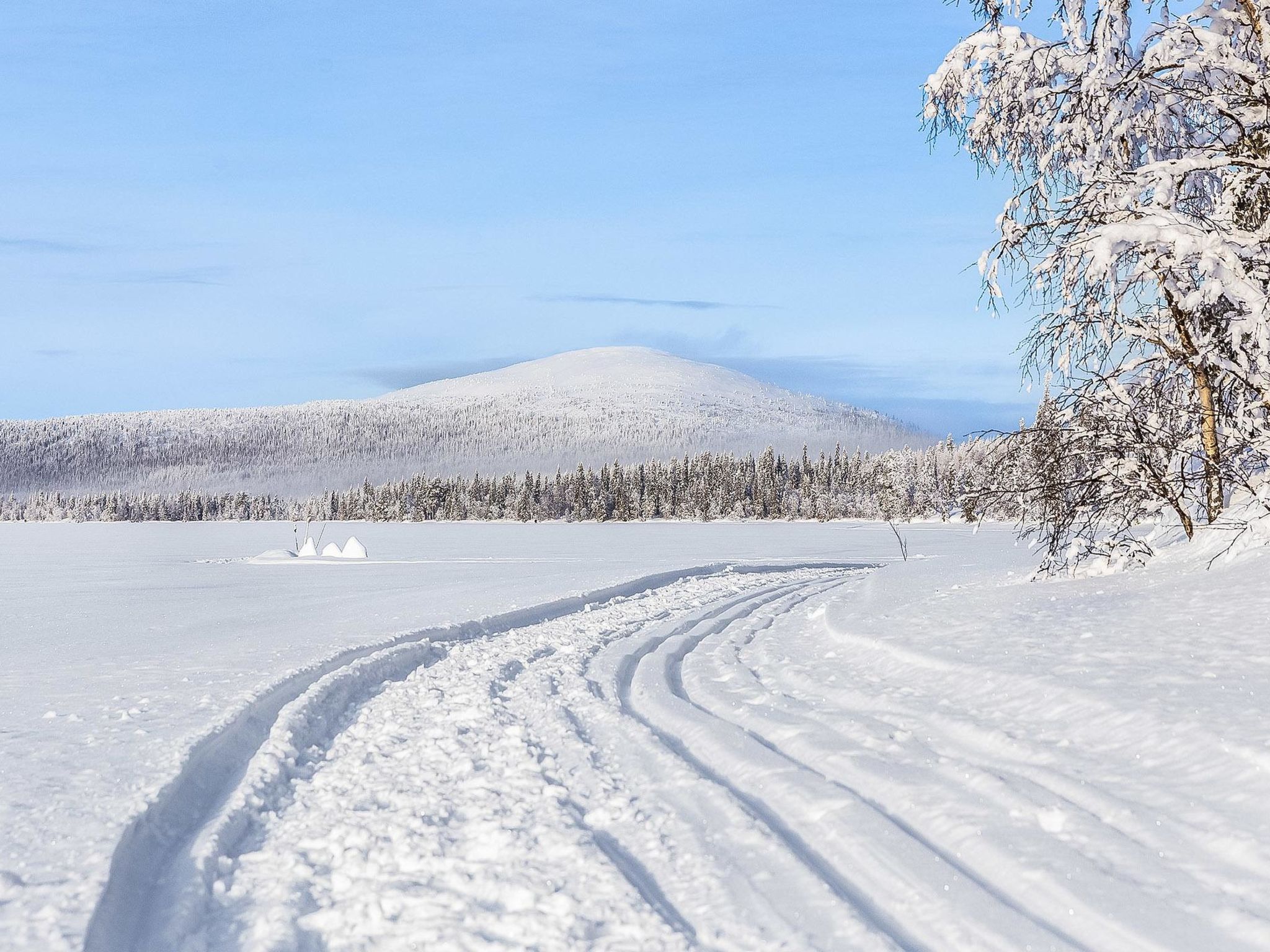 Lappi dream house-Dedans