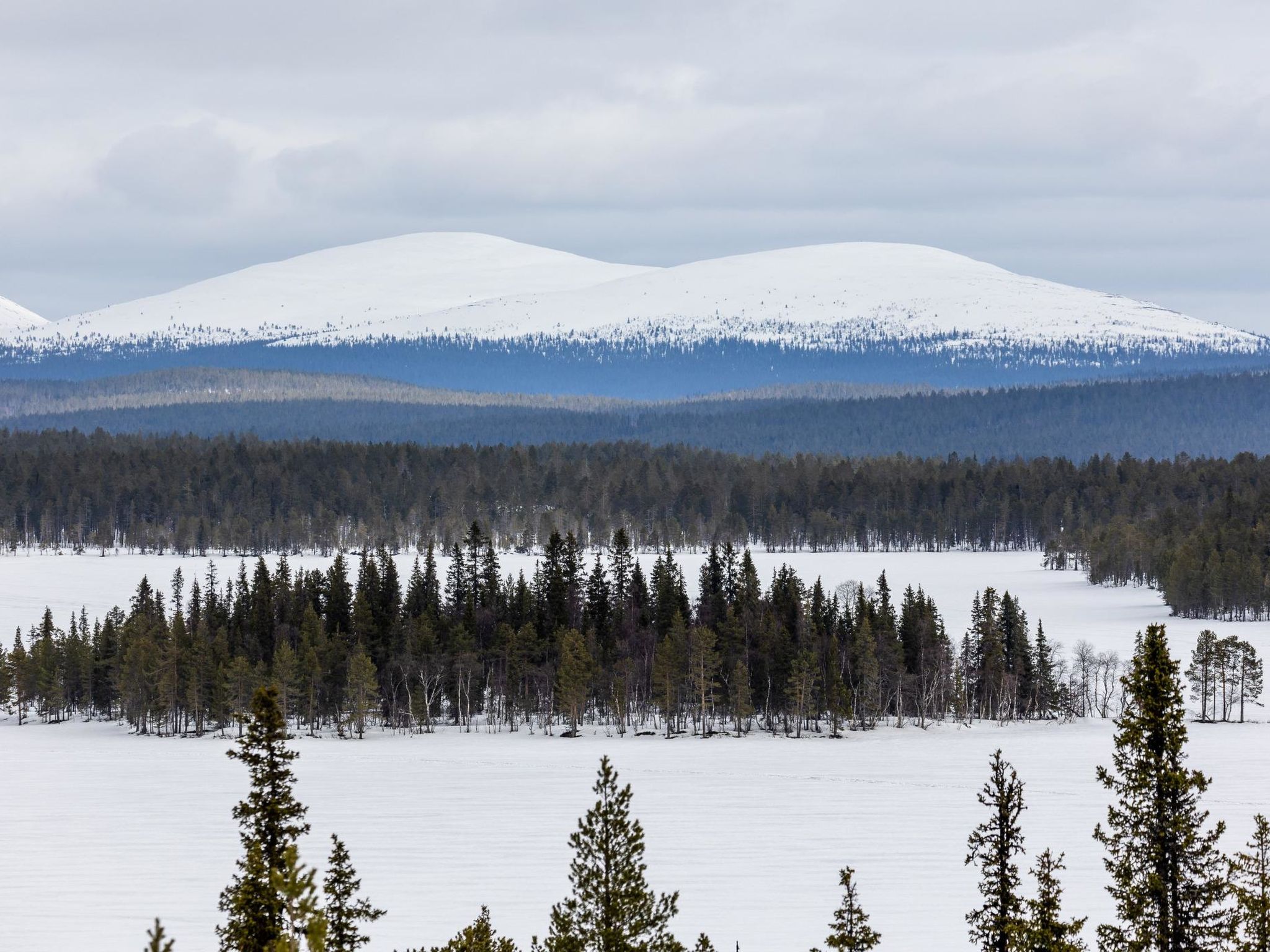 Lappi dream house-Dedans