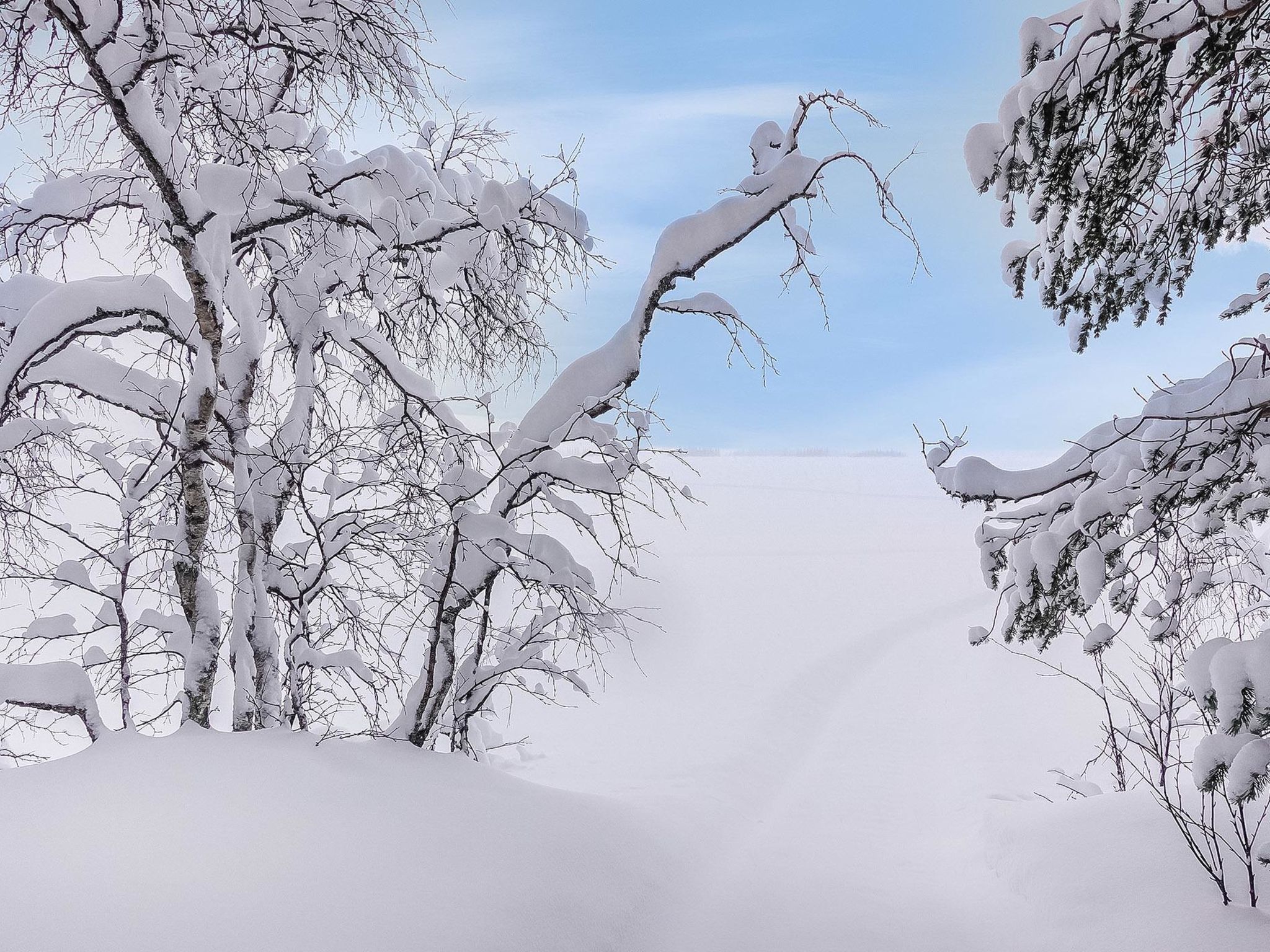 Lappi dream house-Dedans