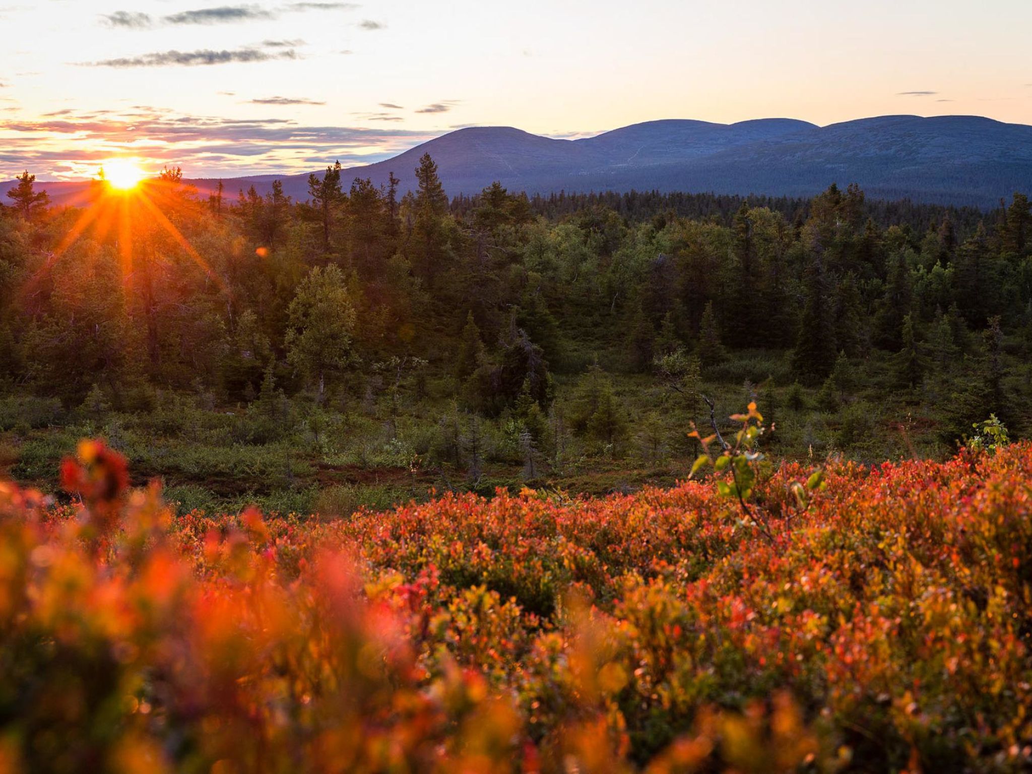 Lappi dream house-Dedans