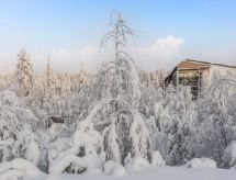 Tievan aurinkorinne dina