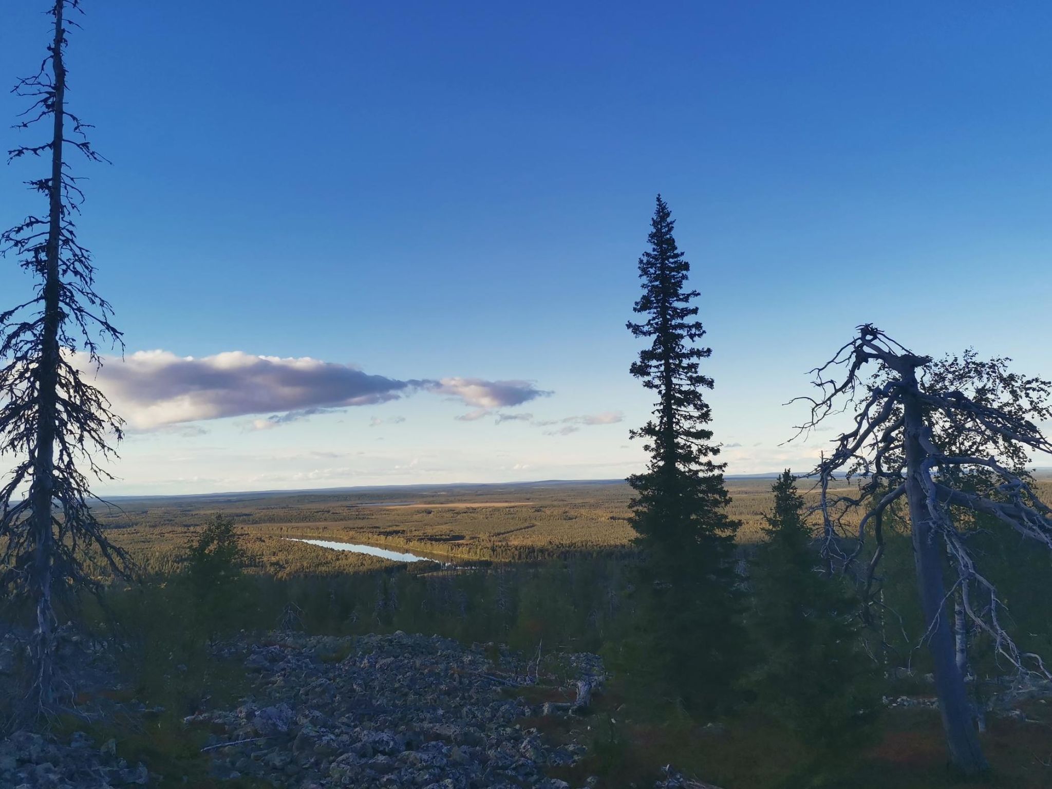 Levi secret igloo revontuli 10d-Binnen