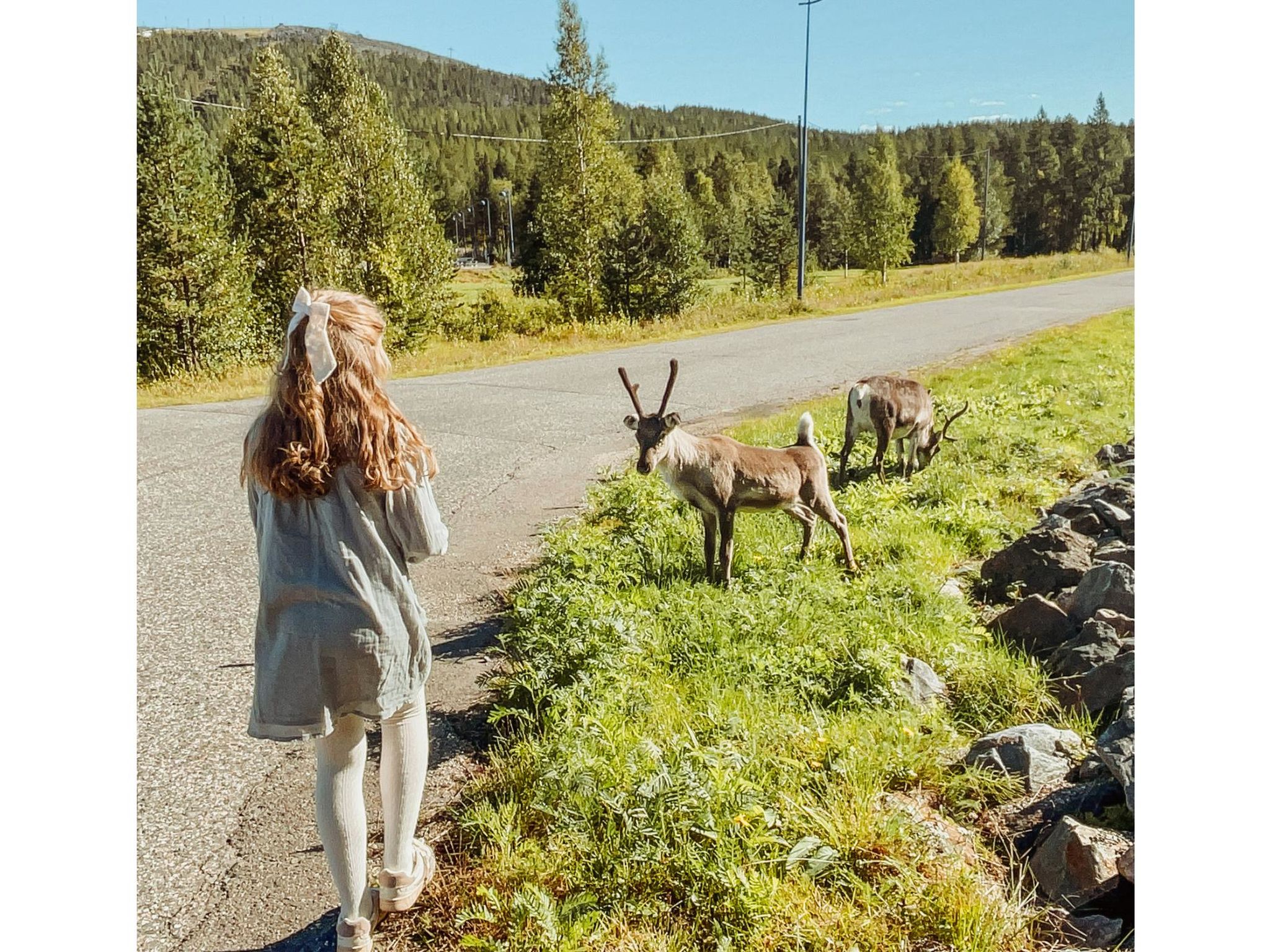 Willa levi west a-Binnen