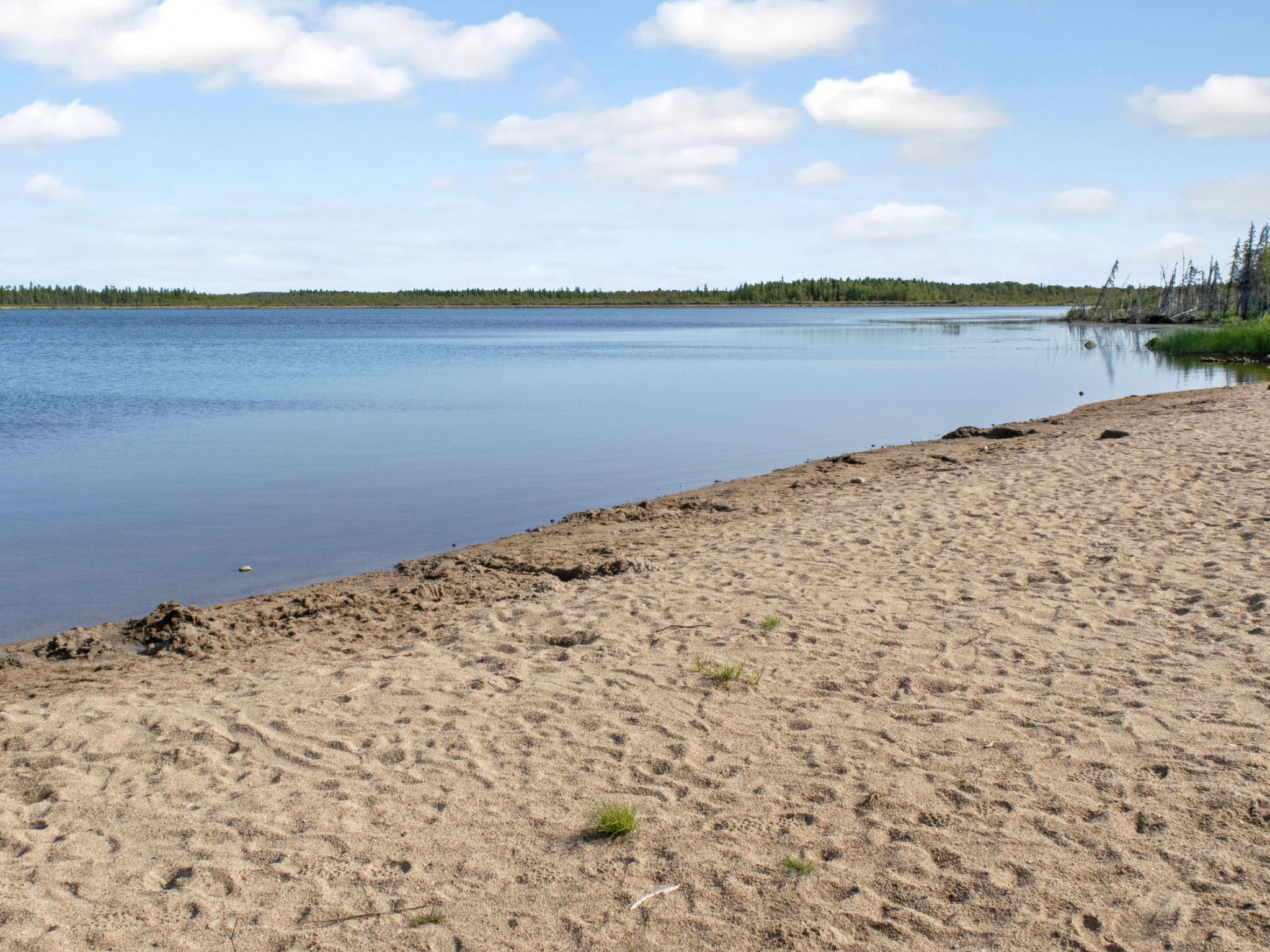 Mötönpesä 2