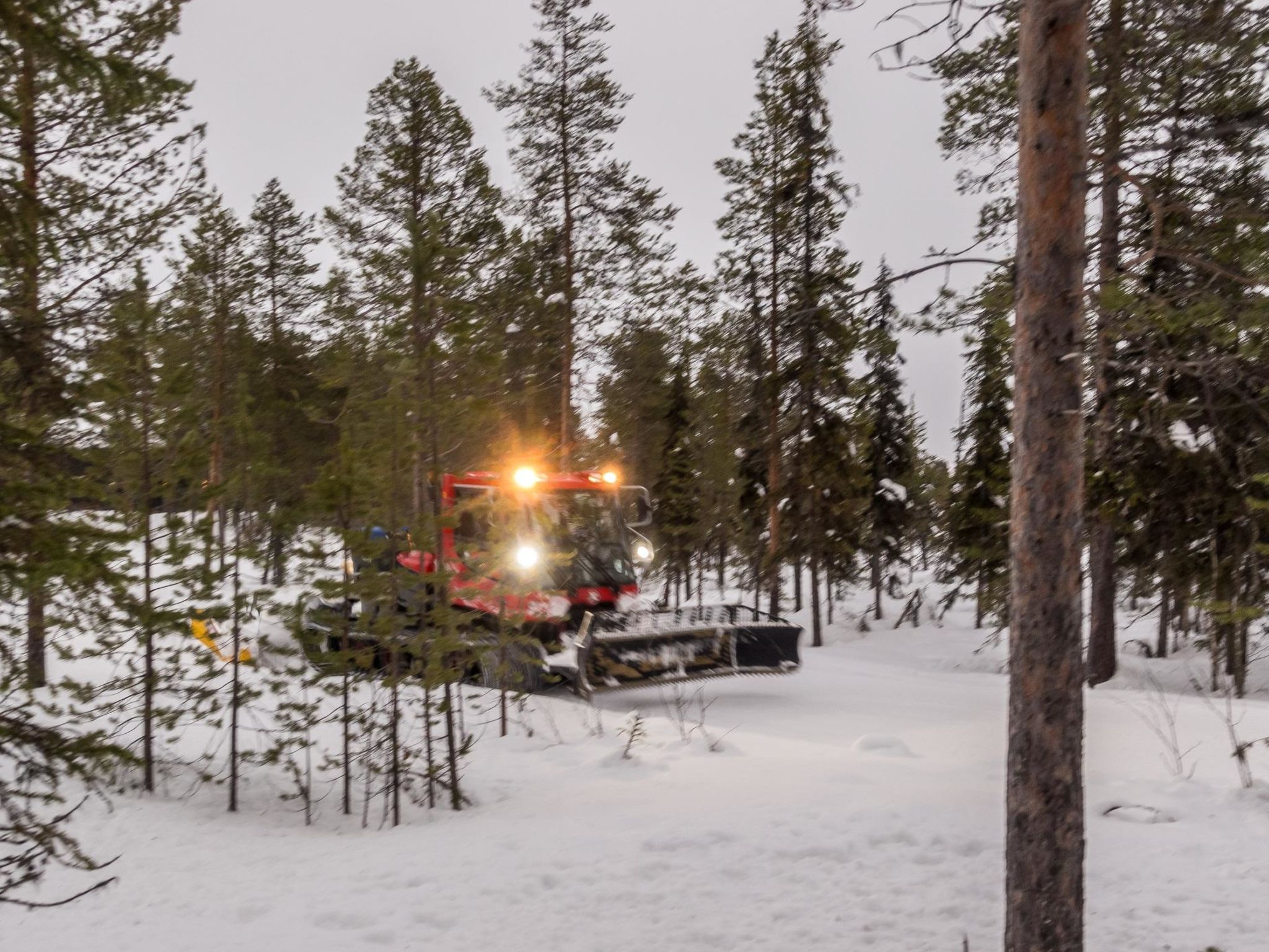 Levin kuiskaus-Binnen