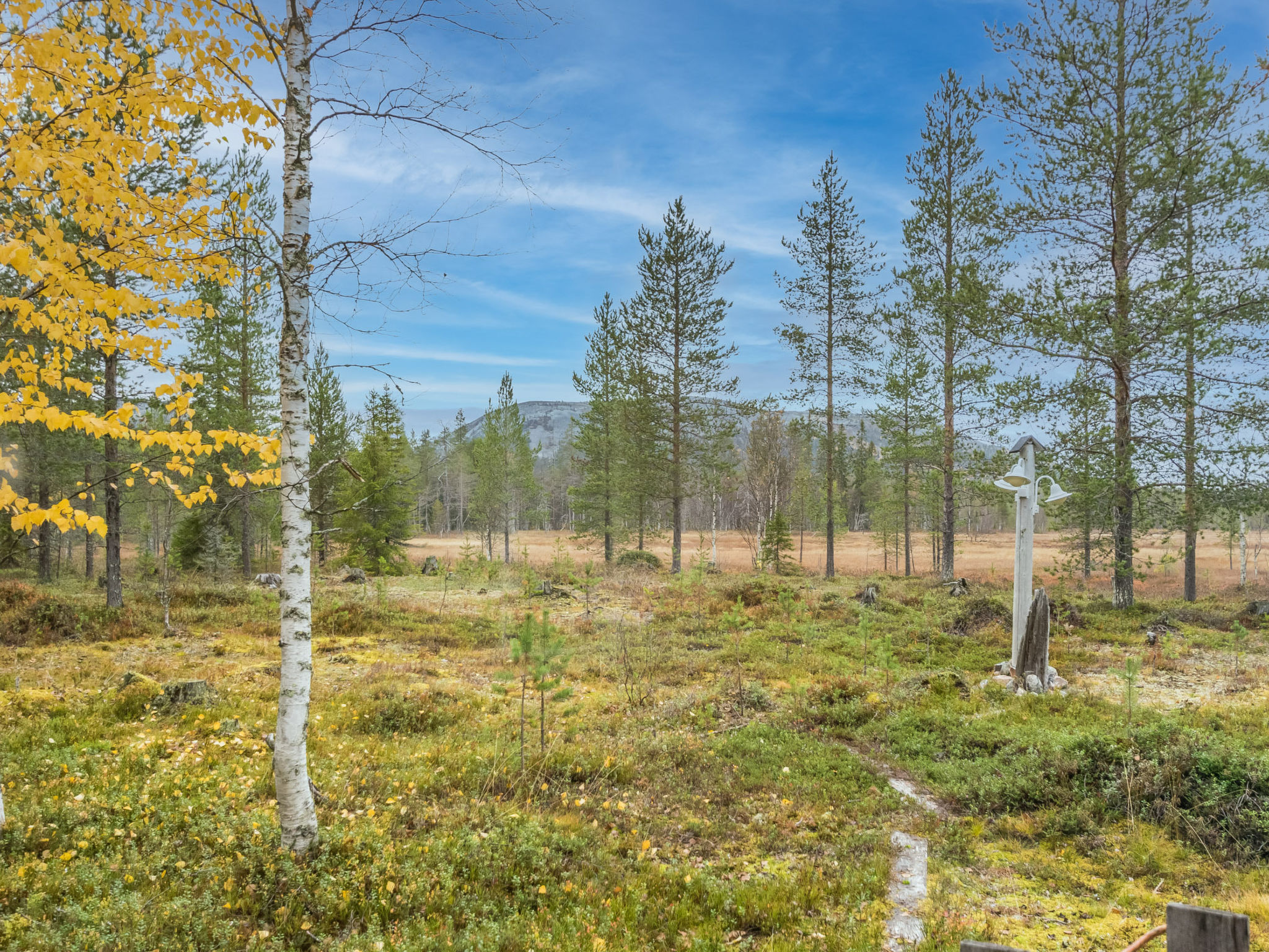 Puukenkä