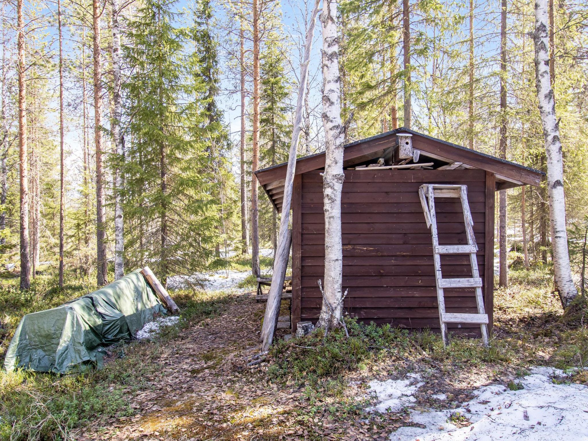 Pyhä pikkukarhu-Binnen