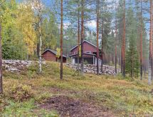 Villa uuttu