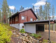 Villa uuttu