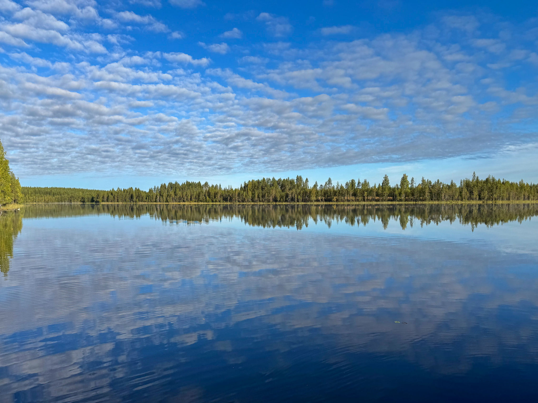 Kivalikkolampi