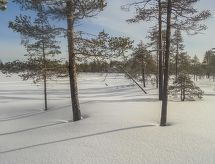 Ferienhaus Lystikämän tupa