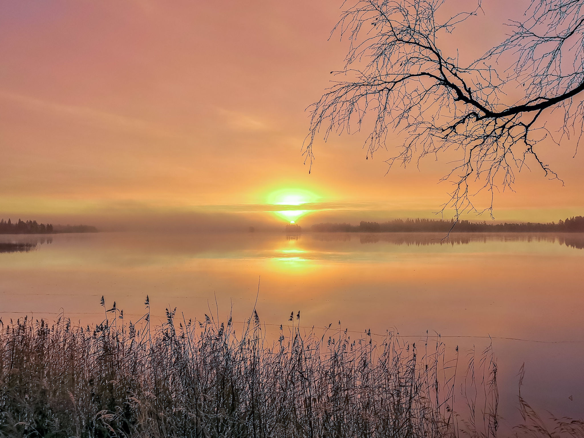 Lystikämän tupa-Binnen