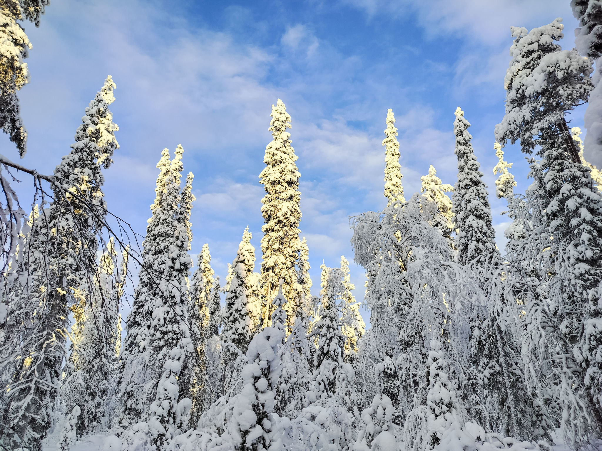 Rovaniemi City - Outside