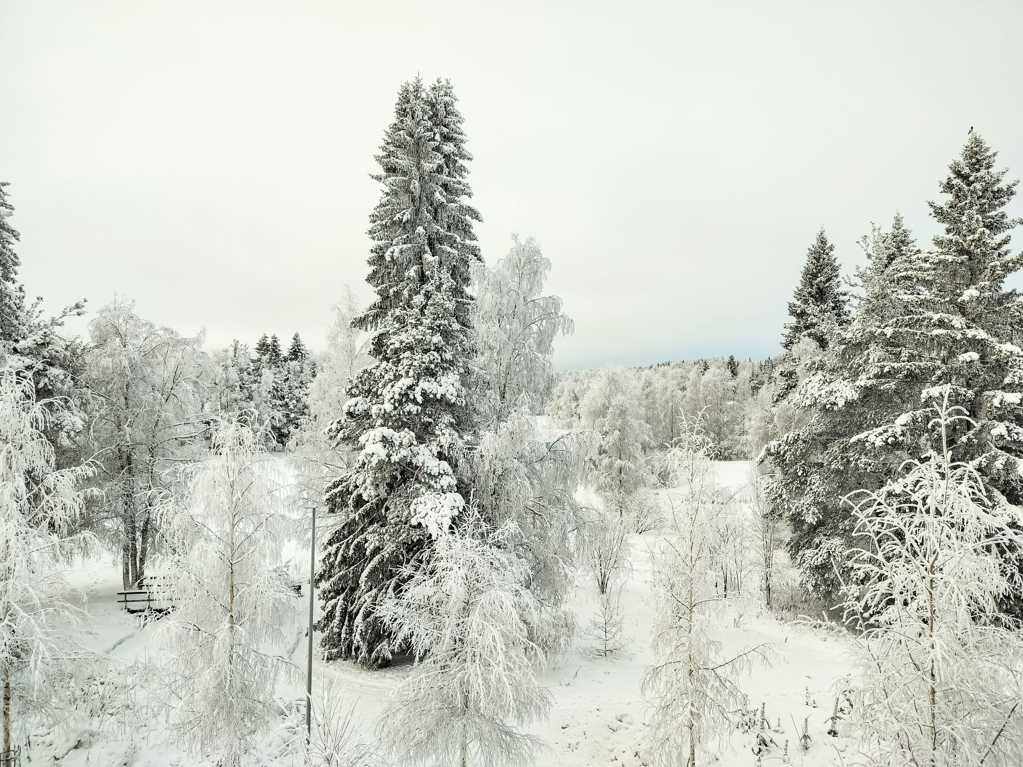 Rovaniemi City - Outside