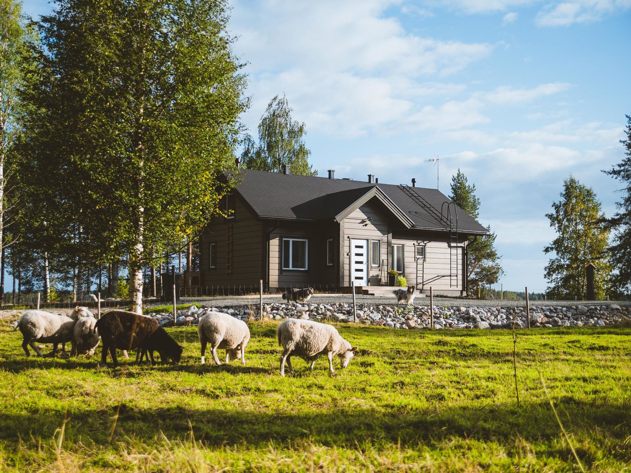 58 km to the southeast from Rovaniemi, lake Siika-Kämä 25 m, (length 2 km, width 800 m), gently deepening beach, sand bottom, pier, own rowing boat. 

Log villa (thermal log), built in 2021.
Living ..