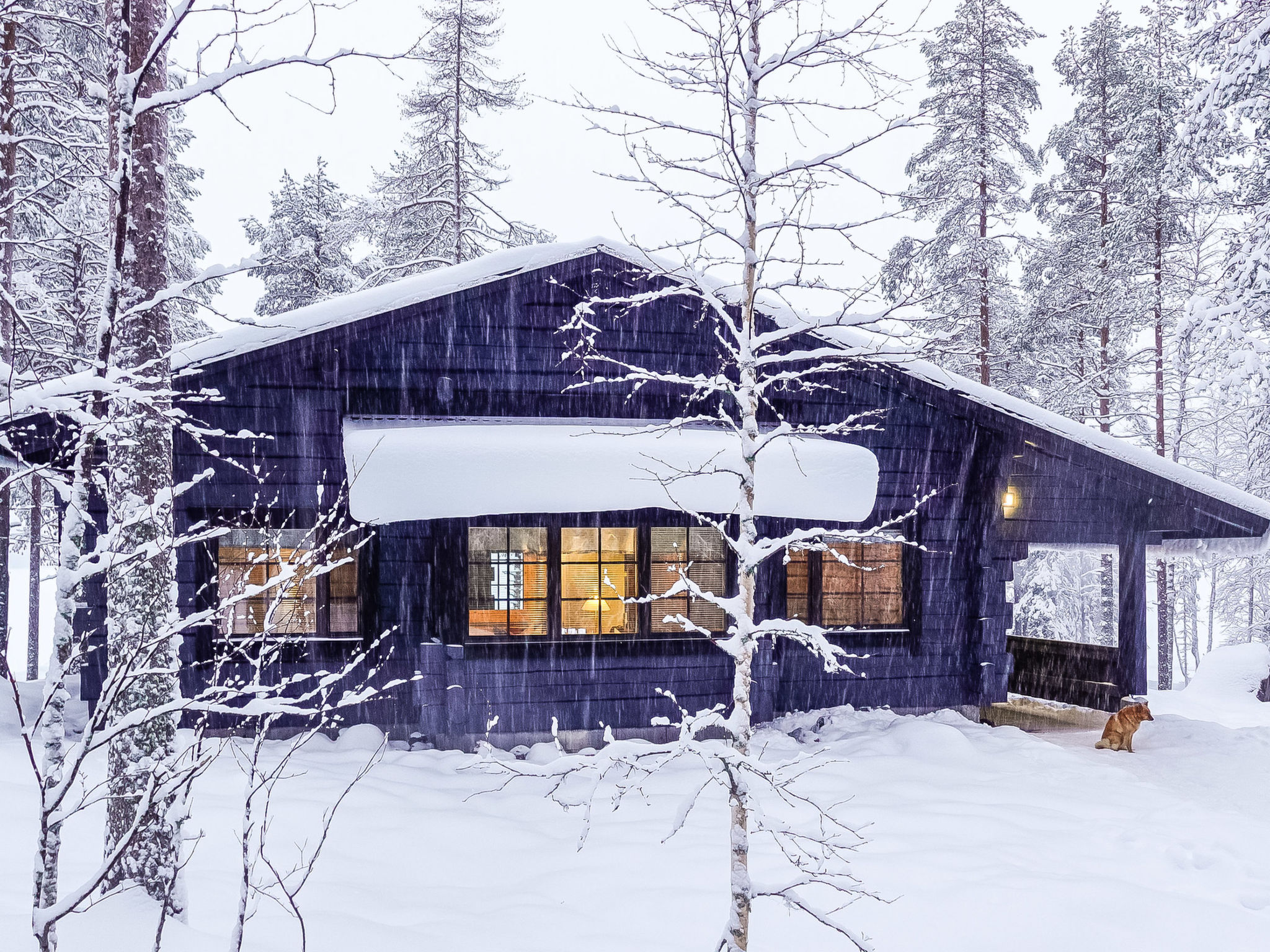 Kiviniemi