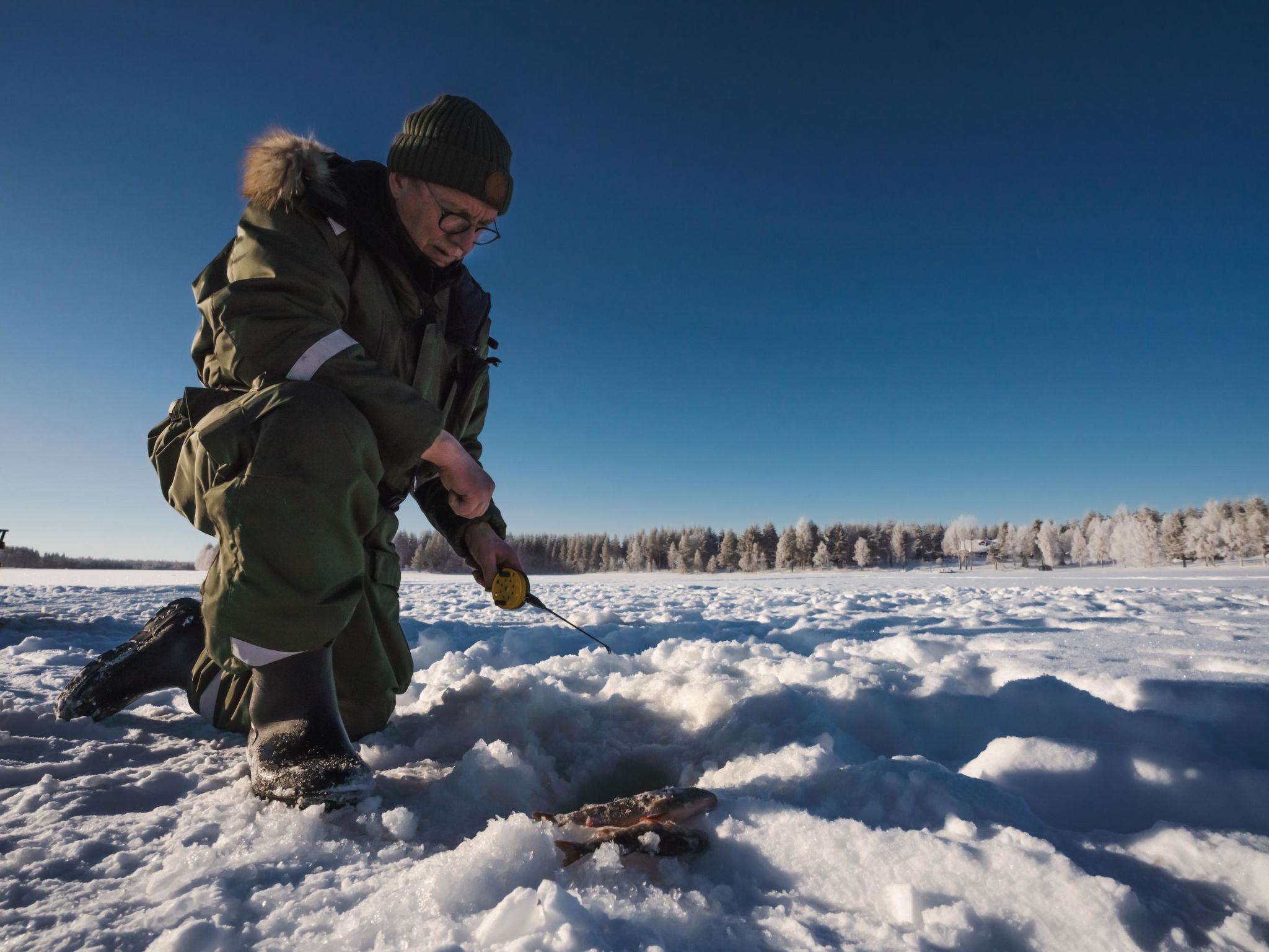 Lystikämän elämys-Dedans