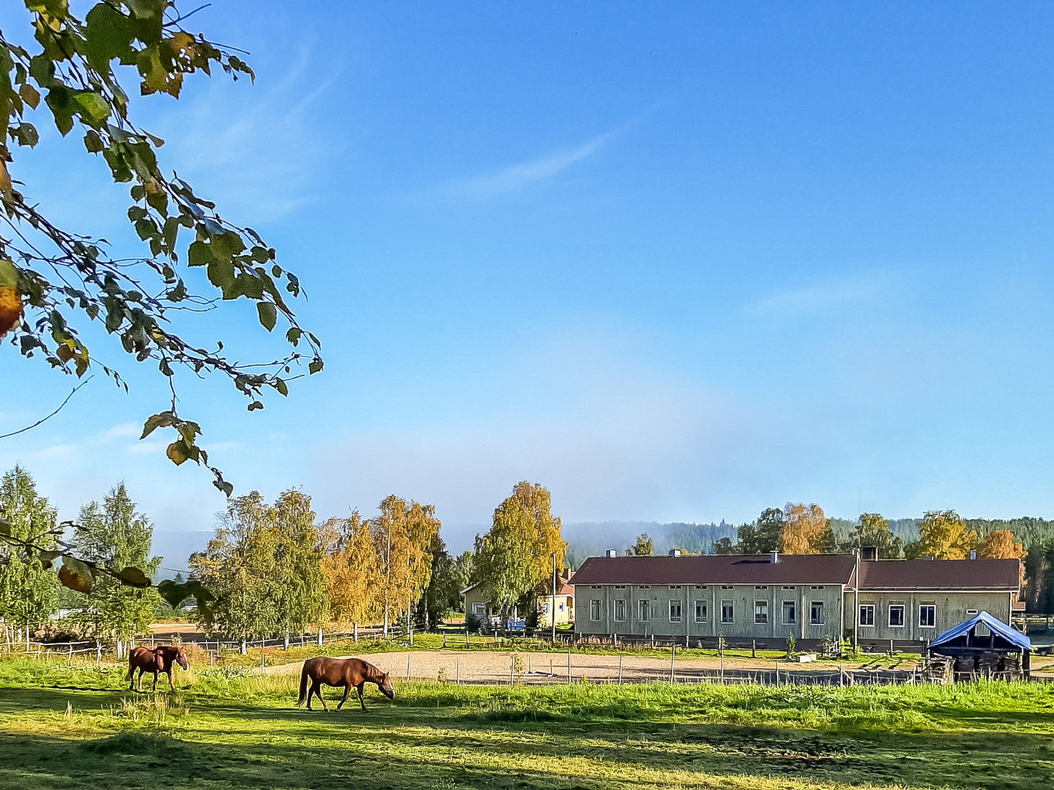 Juotas village