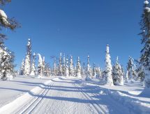 Feriebolig Örtsylä b