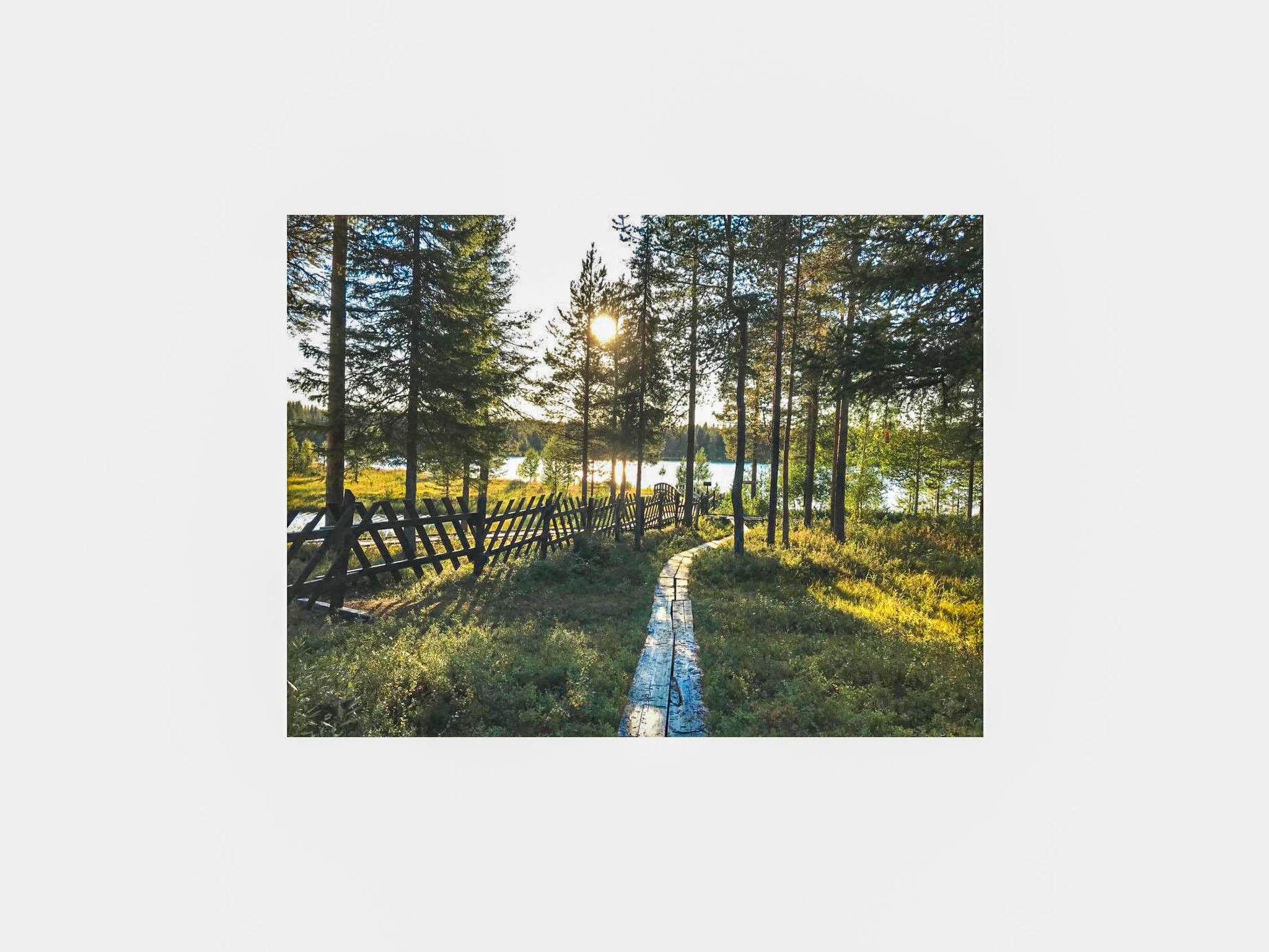 Örtsylä b