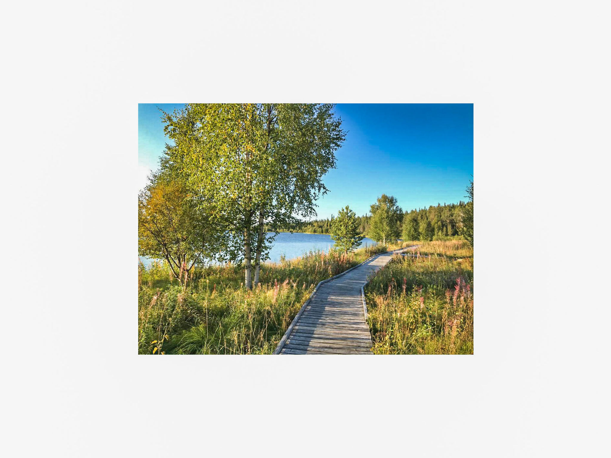 Örtsylä b