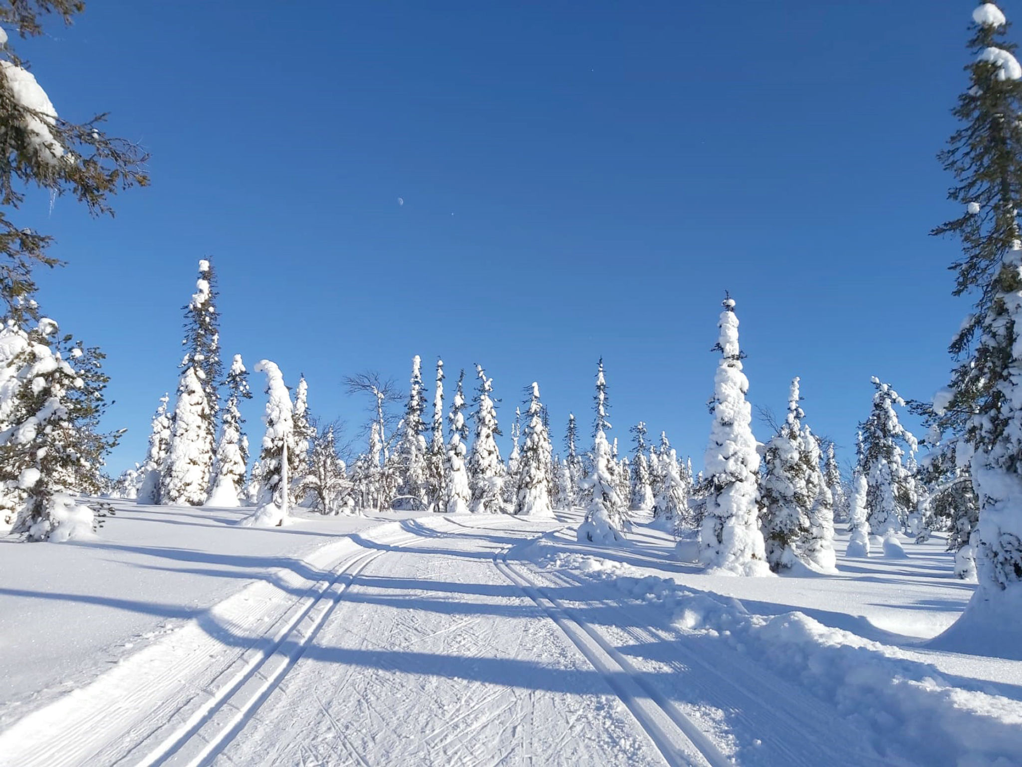 Örtsylä b - Drinnen