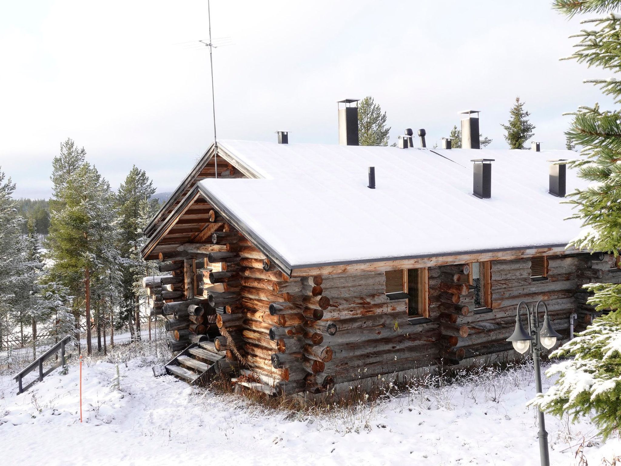 Sallanhelmi a2-Binnen