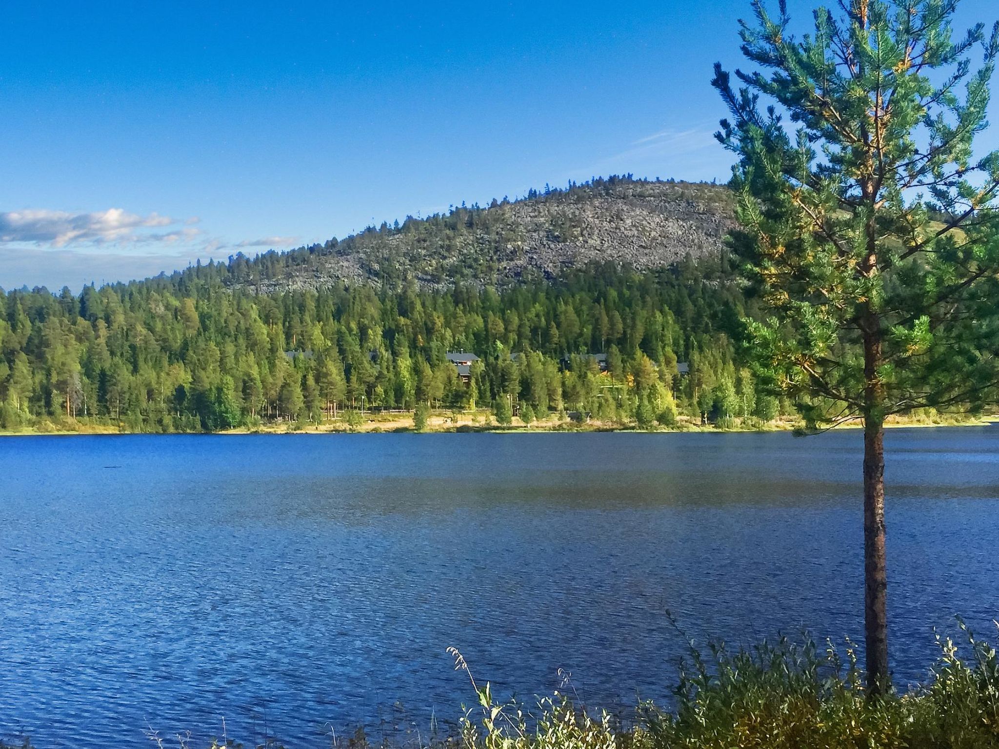 Sallanhelmi a2-Binnen