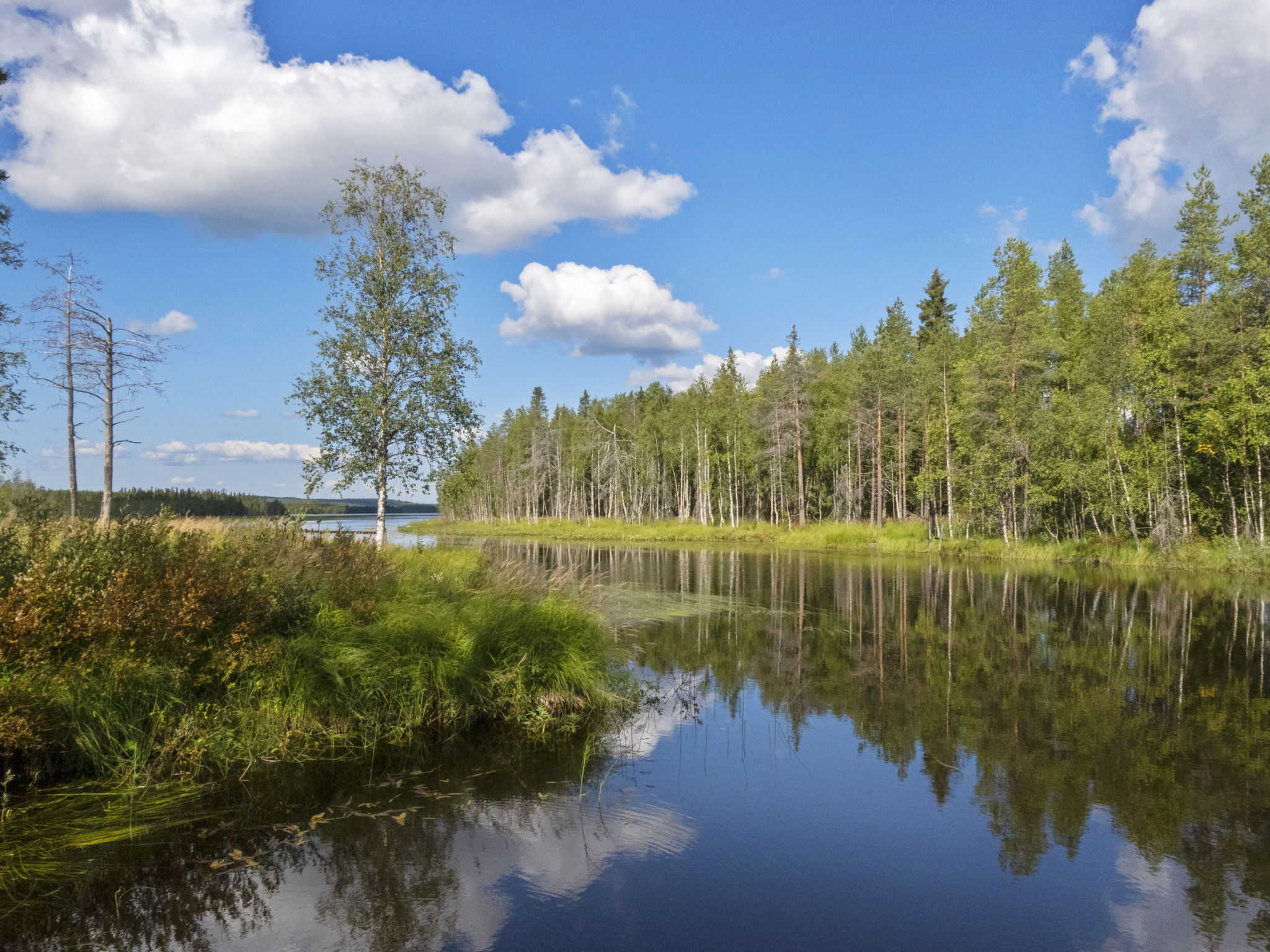Kinttaanpirtti