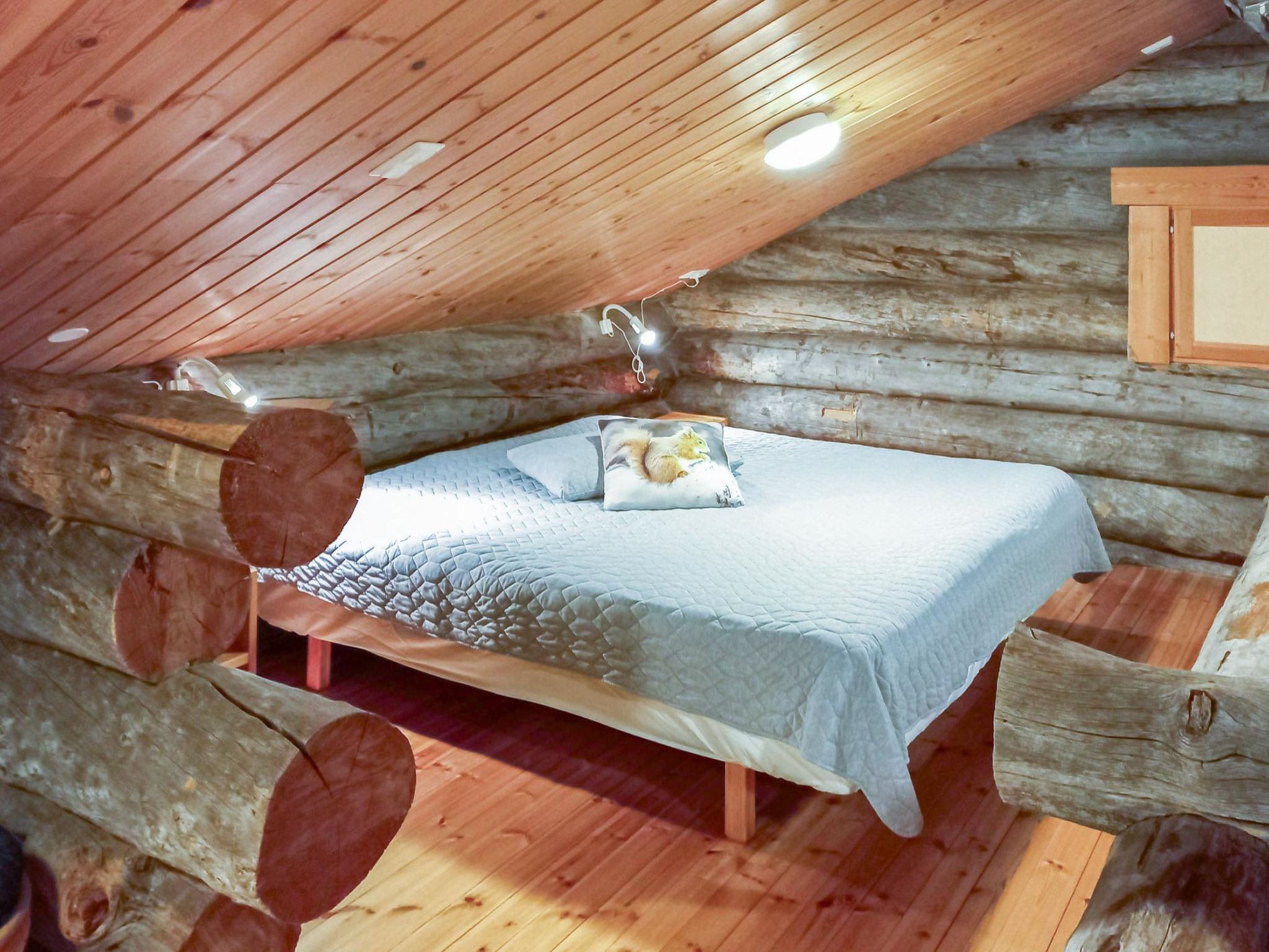 Photo of Sallanhelmi e2