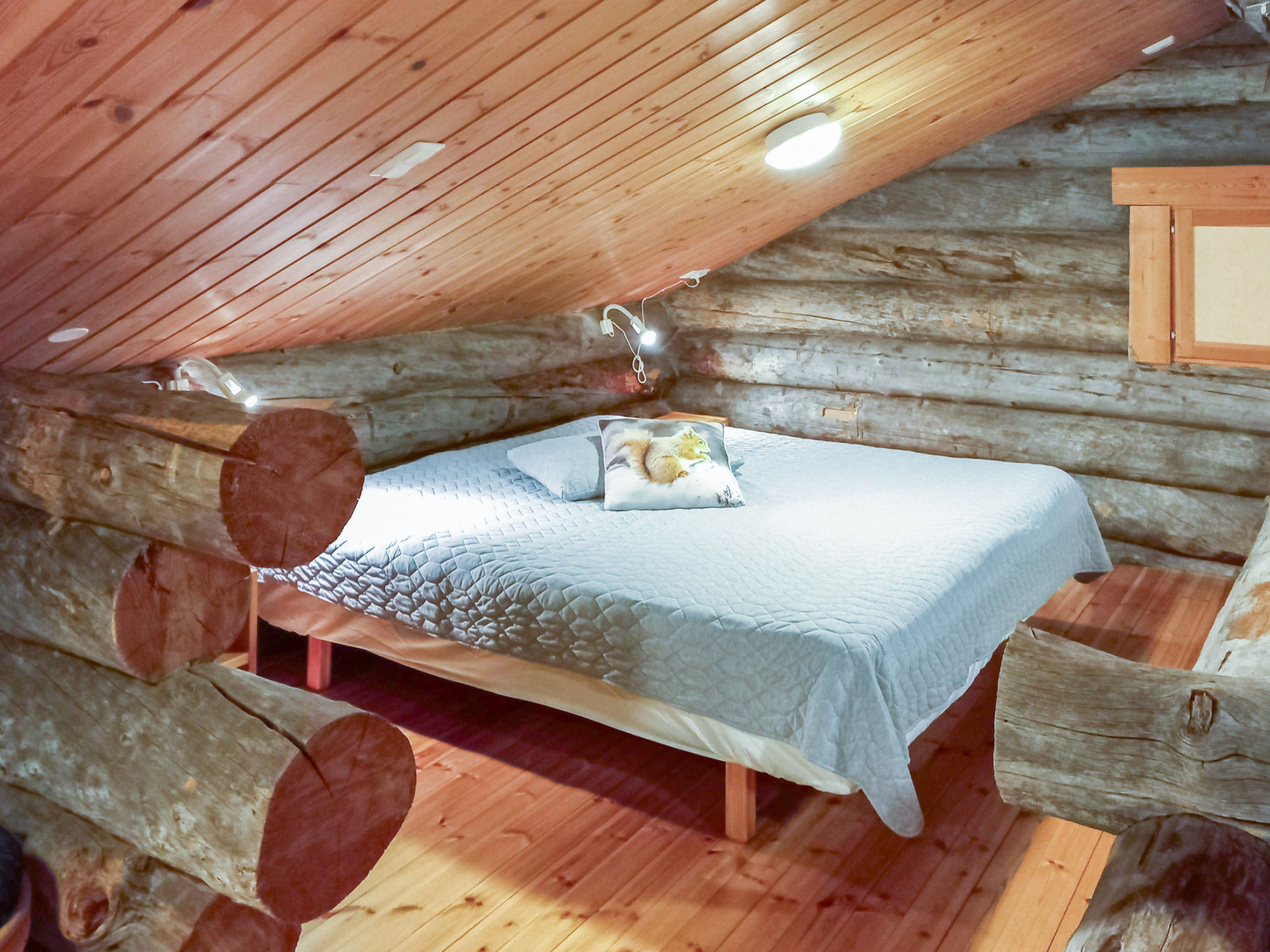Photo of Sallanhelmi e2