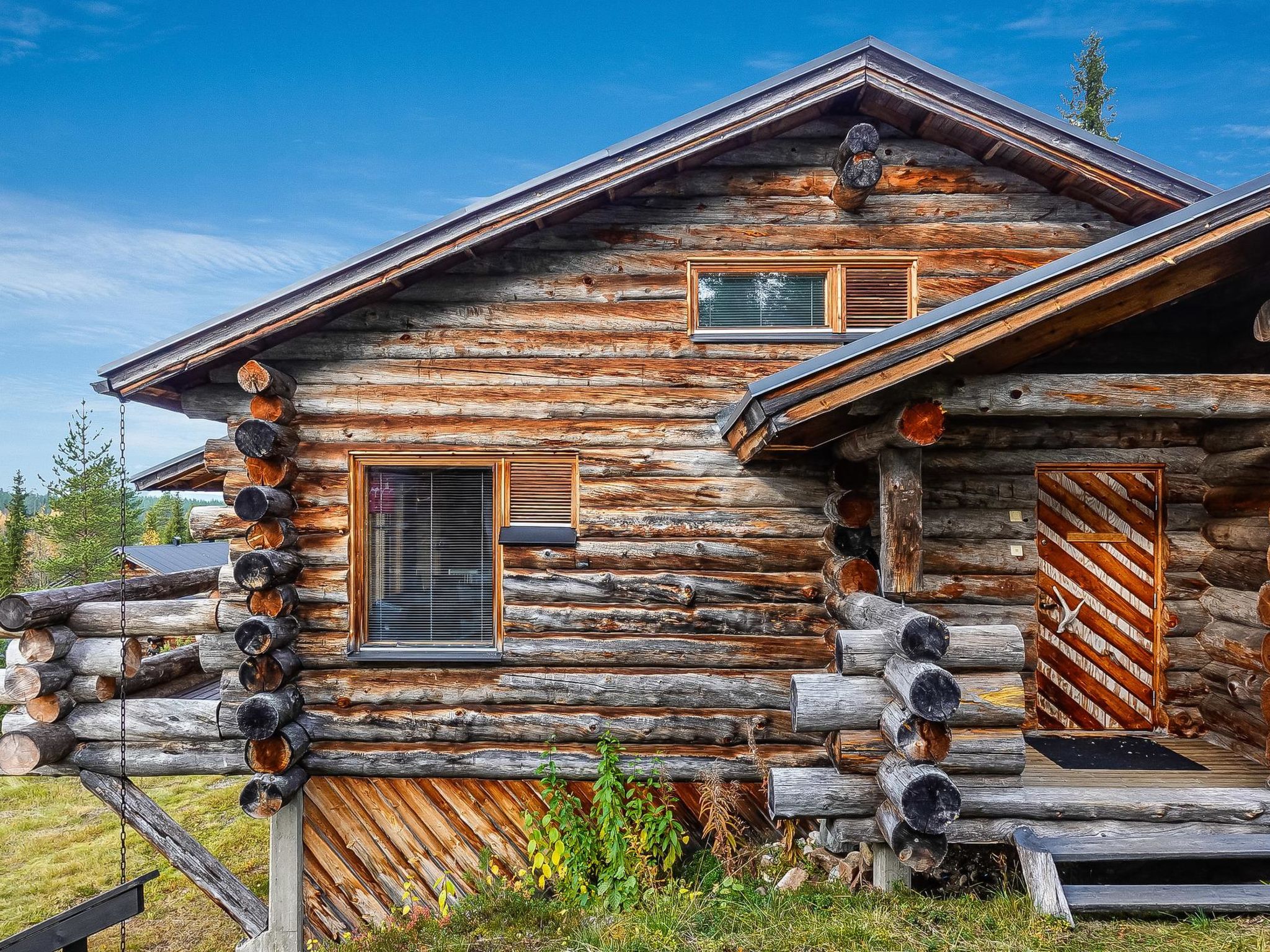 Photo of Sallanhelmi c2